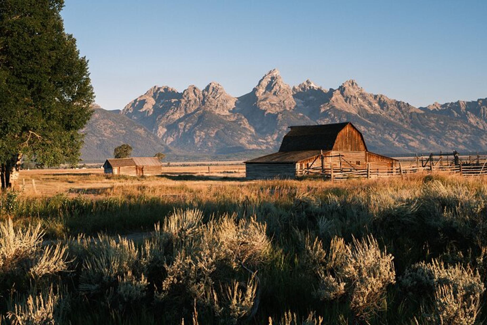 Grand Teton Wildlife & Biking Tour - Image 5