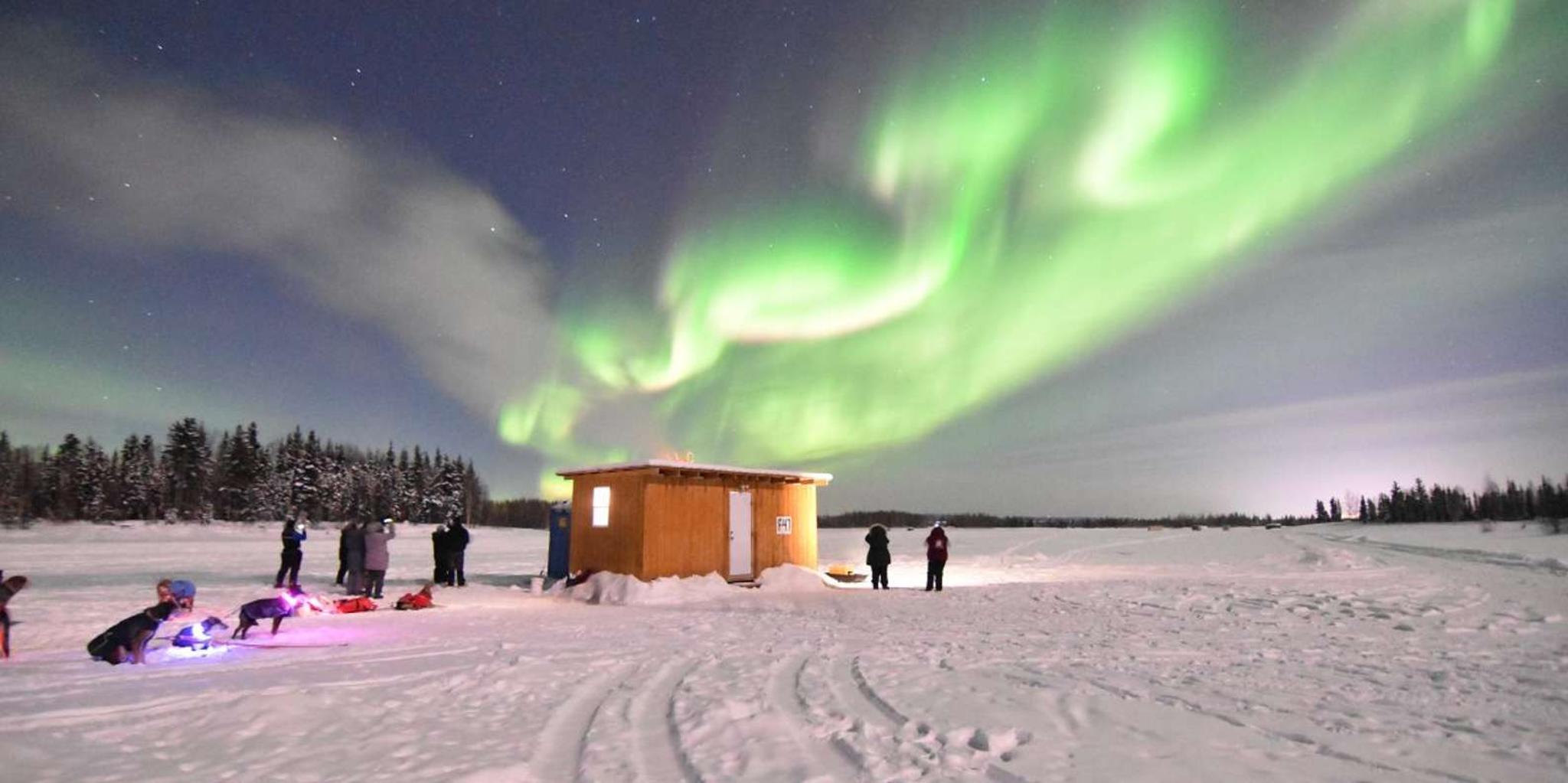 North Pole Dog Sledding Experience - Image 4