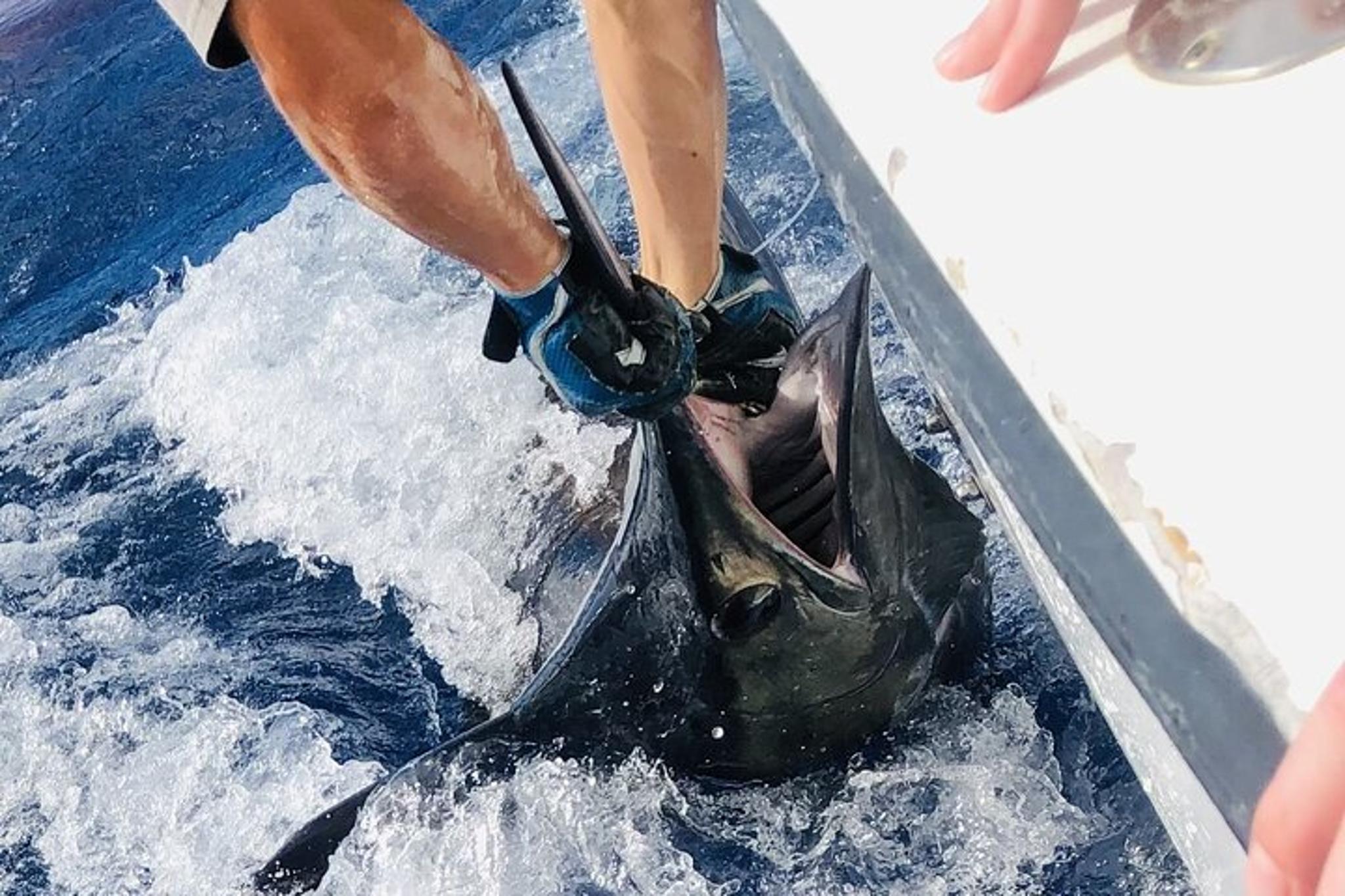 Kailua-Kona Private Fishing Charter 8 Hr - Image 4