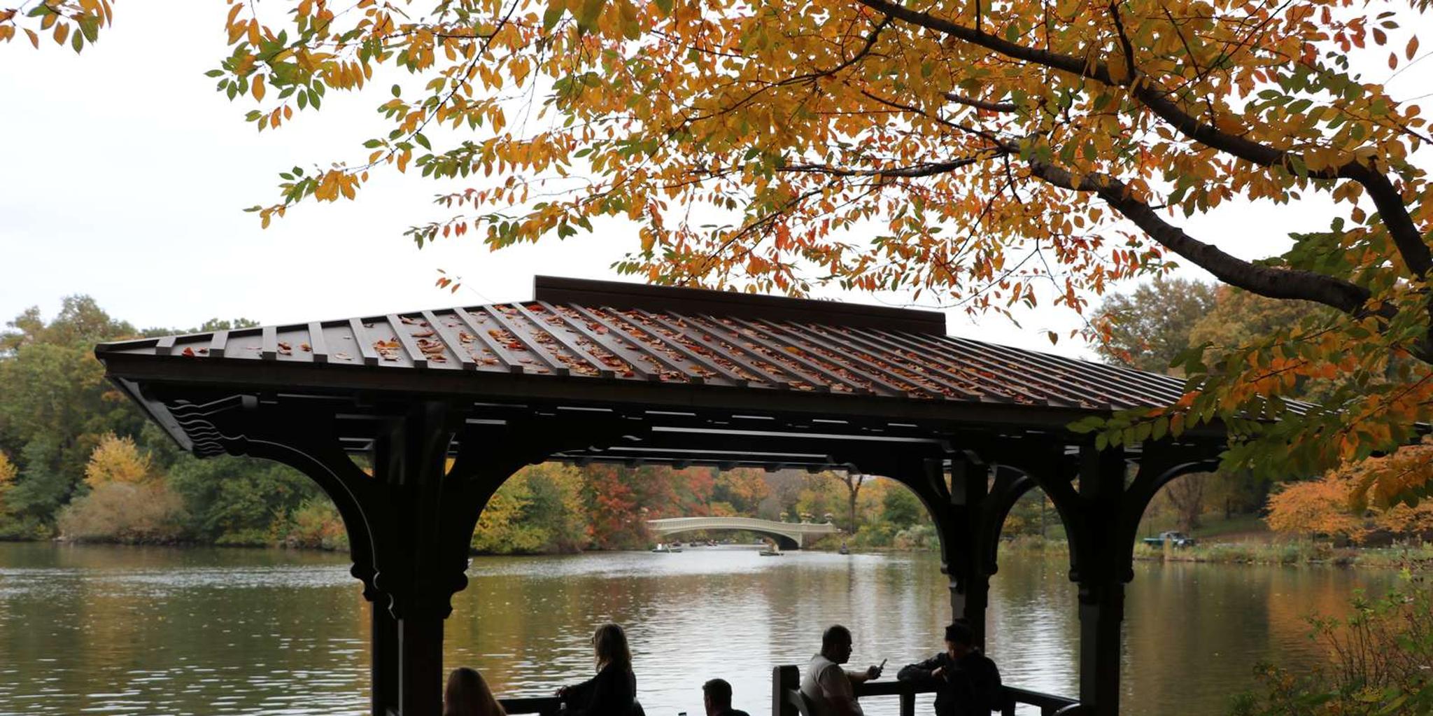 New York Central Park Carriage Tour - Image 6