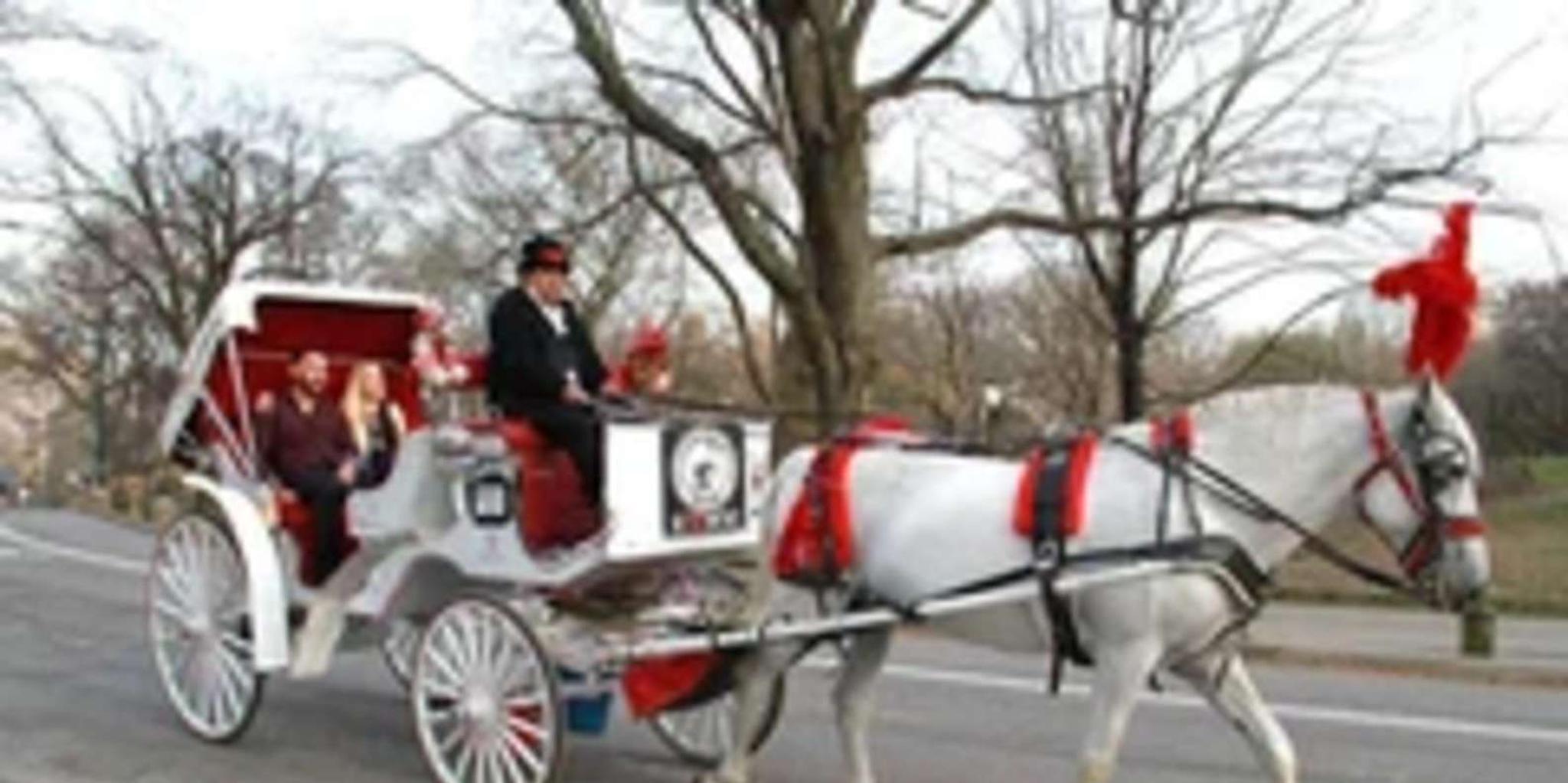 New York City Central Park Horse Carriage Ride 45 Min