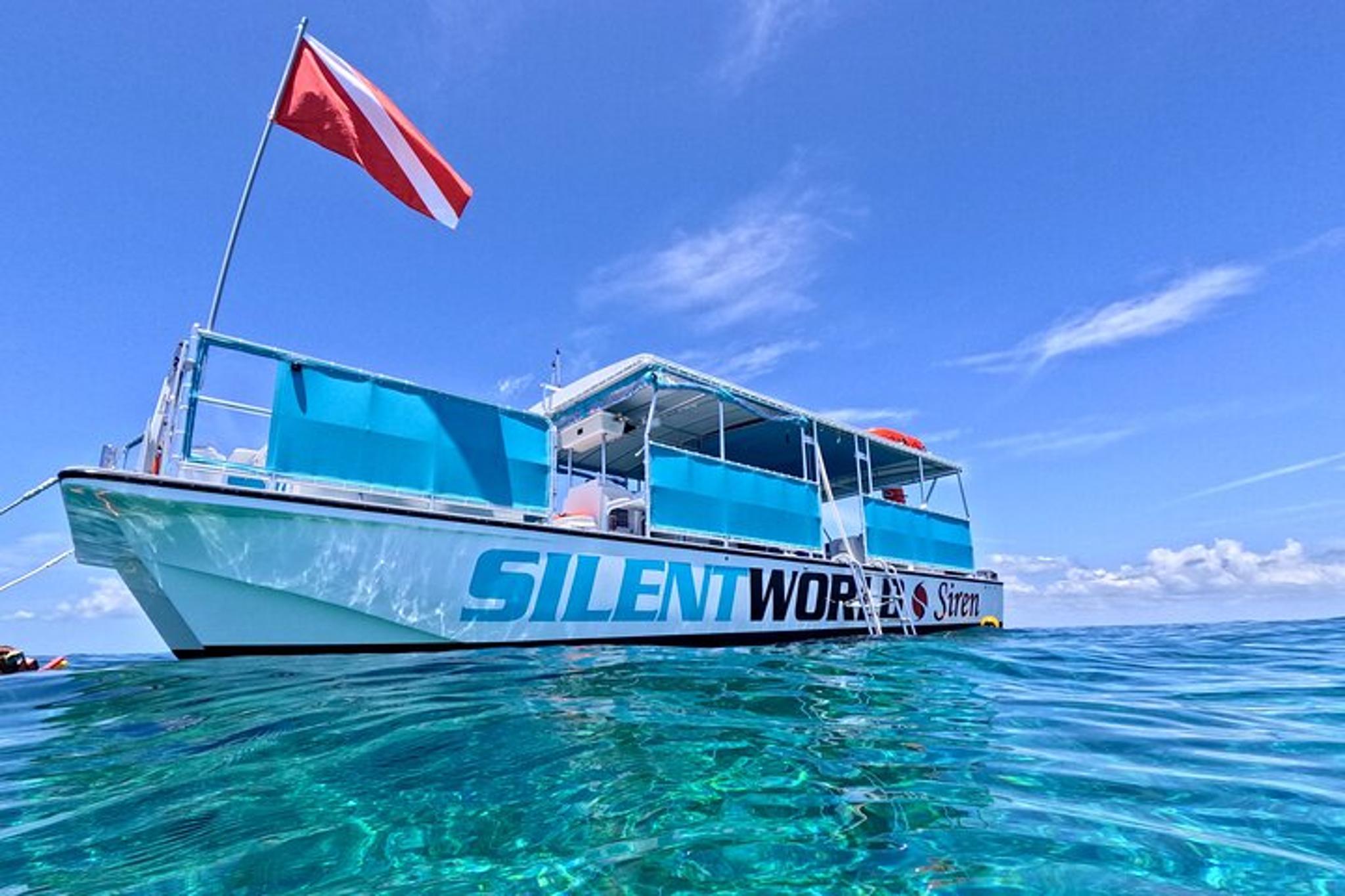 Key Largo Snorkeling Tour at Carysfort Lighthouse - Image 6