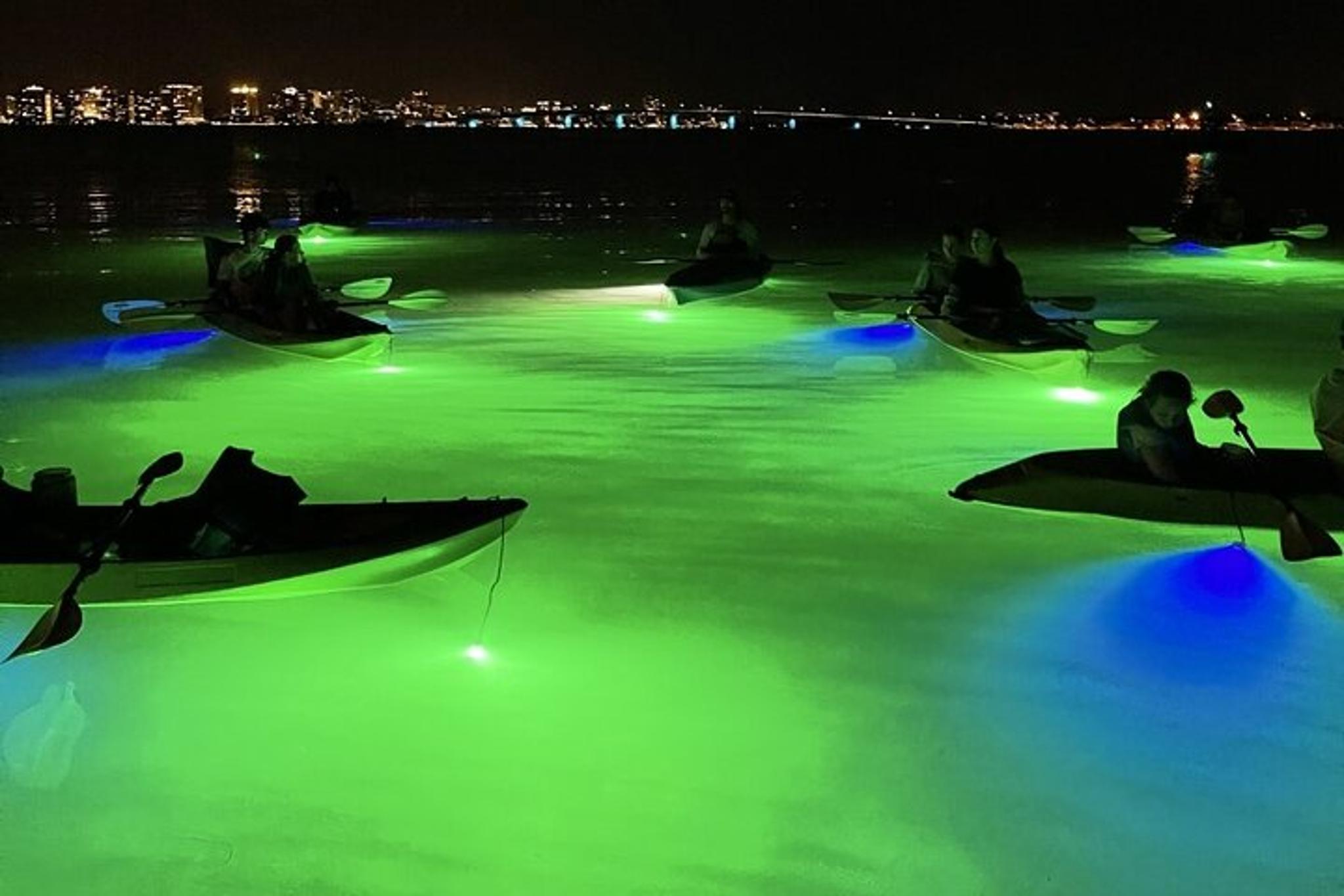 Sarasota Glass Bottom Kayak LED Night Tour - Image 4