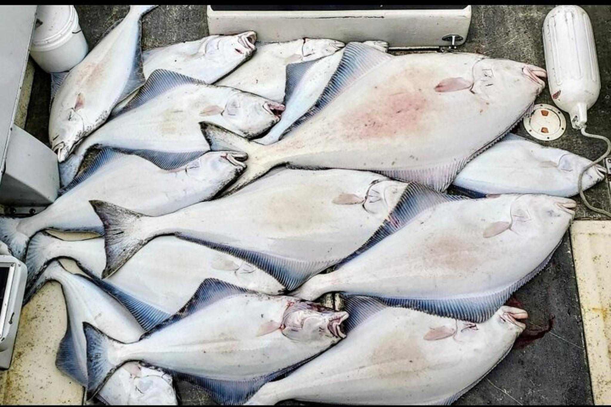 Hoonah Fishing Adventure in Icy Strait - Image 3