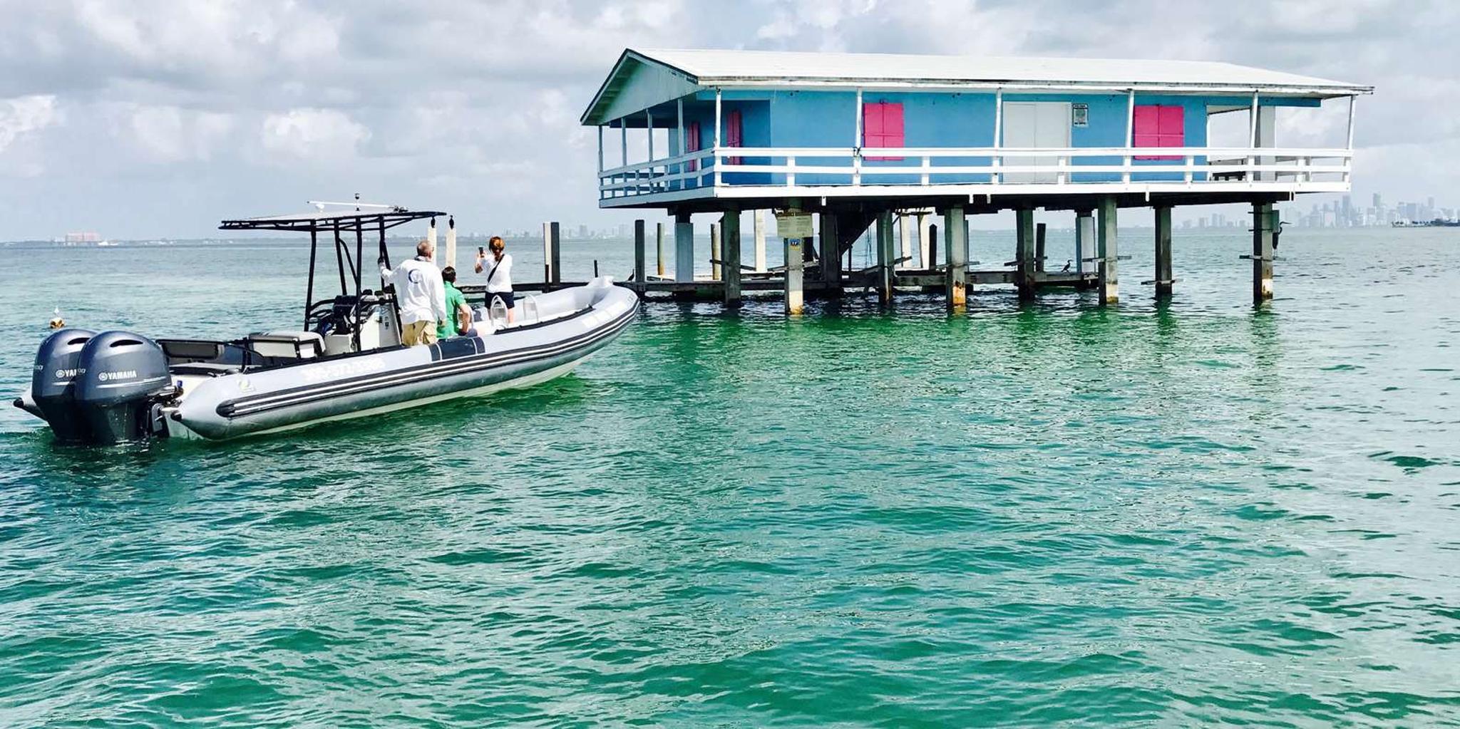 Miami Boat Tour of Stiltsville and Wildlife - Image 4