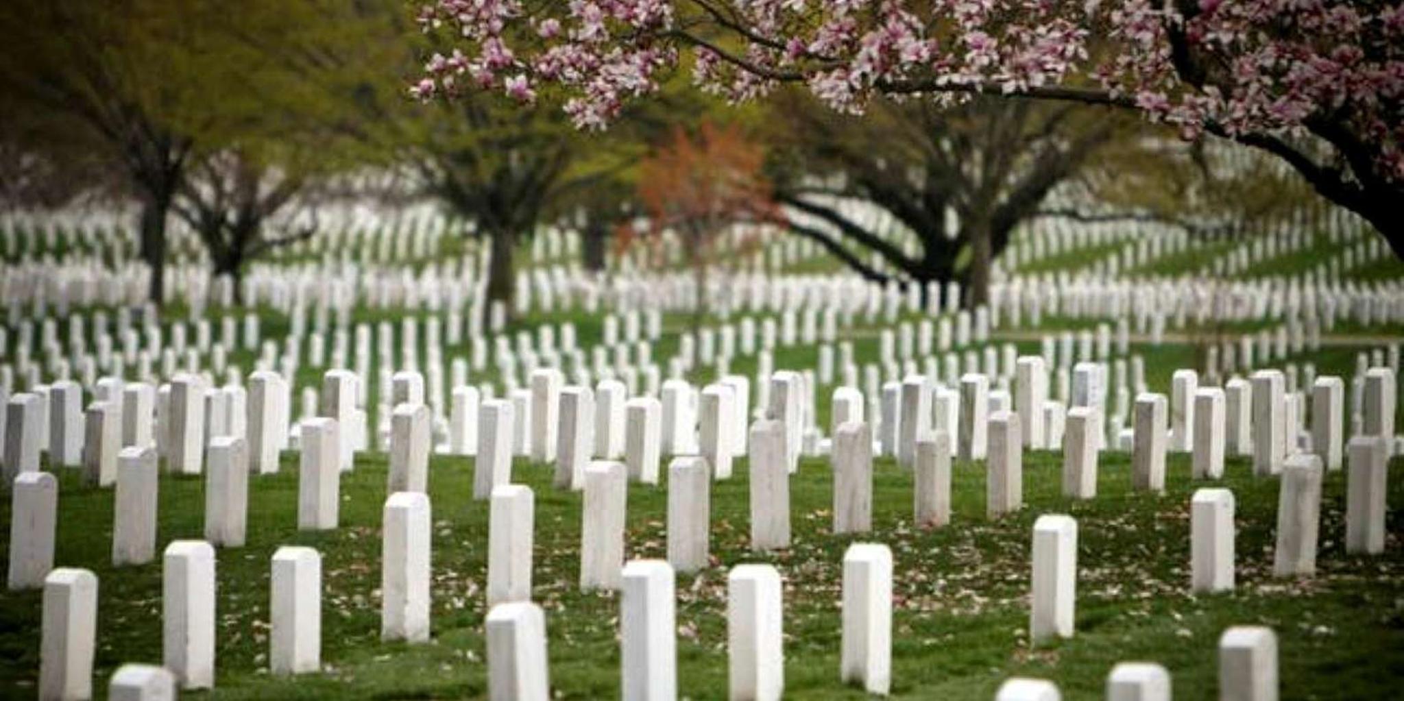 Arlington Cemetery Guard Ceremony & Iwo Jima Memorial Tour 2.5 hr - Image 6