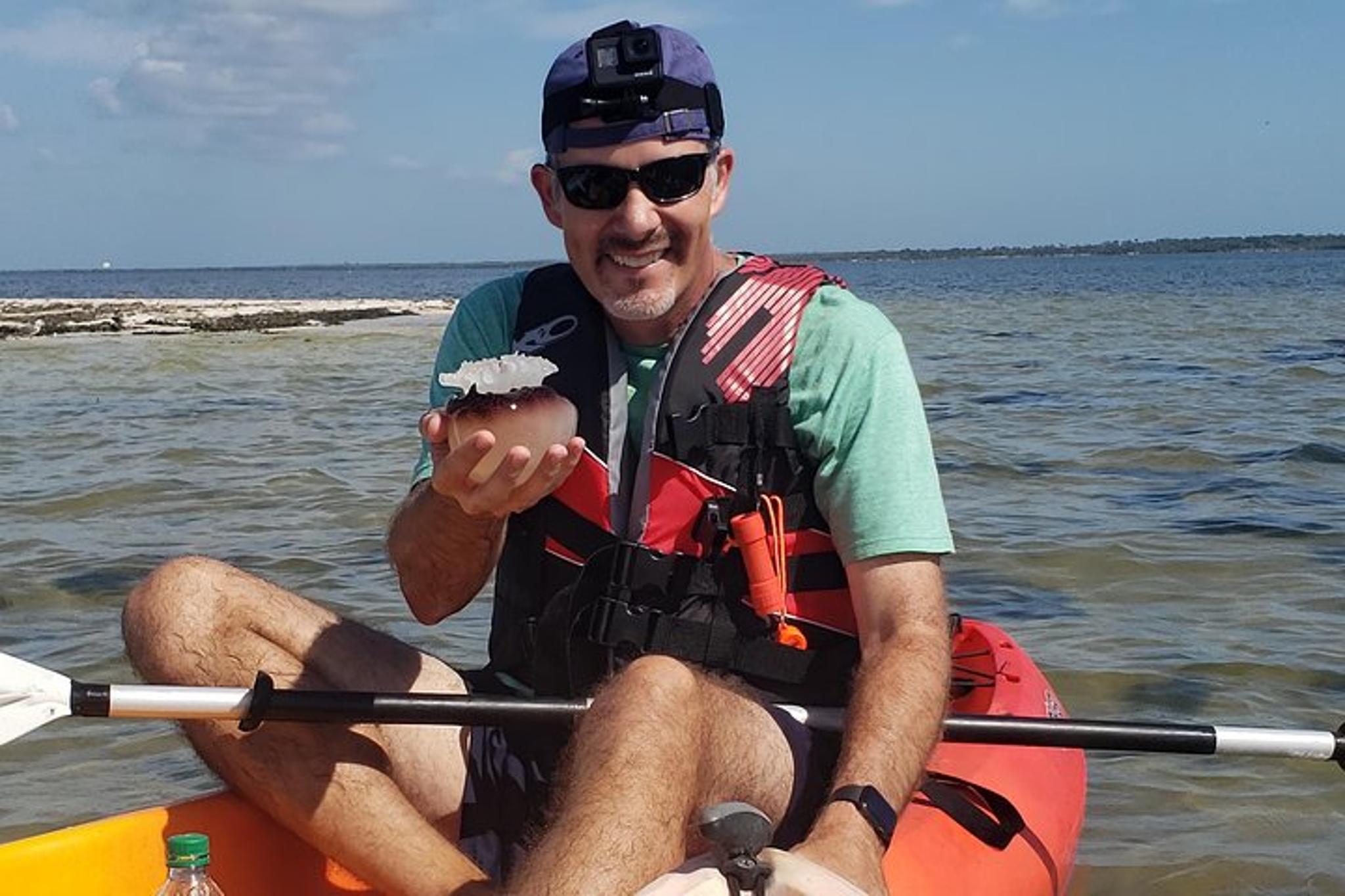 Titusville Manatee and Dolphin Kayak Tour - Image 3