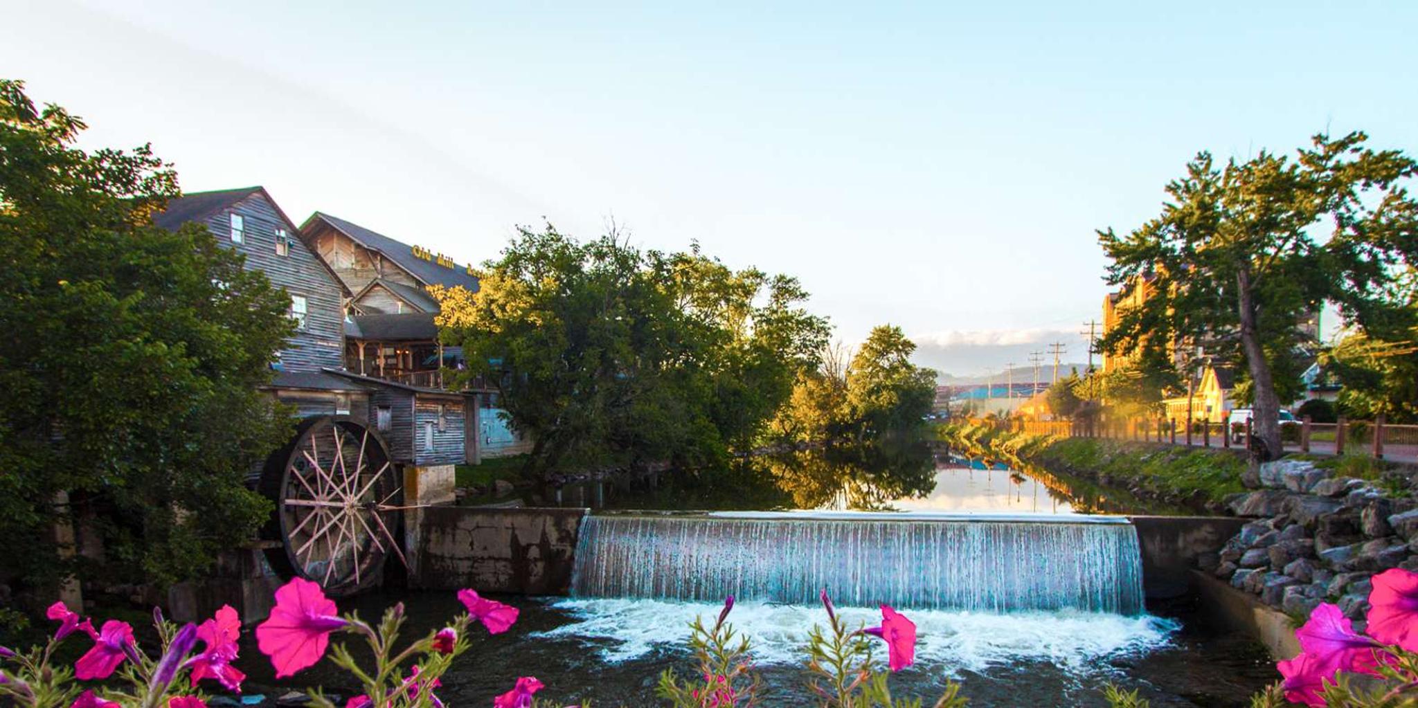 Pigeon Forge Smoky Mountains Guided Tour 6 hr - Image 4