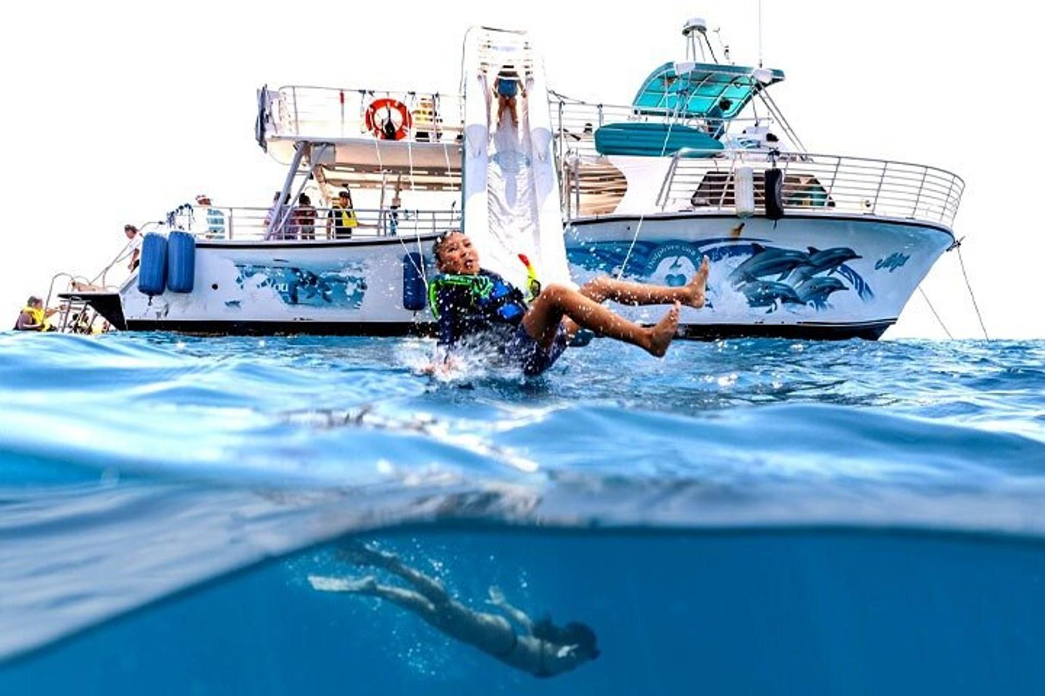 Oahu Dolphin and Snorkel Tour with Waikiki Pickup - Image 3