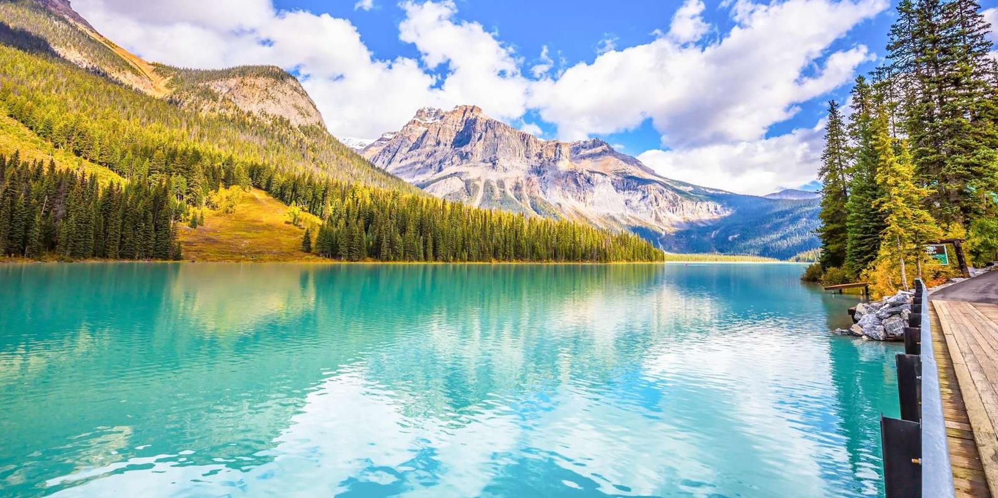 Seattle Canadian Rockies National Parks Tour 7 Days - Image 5