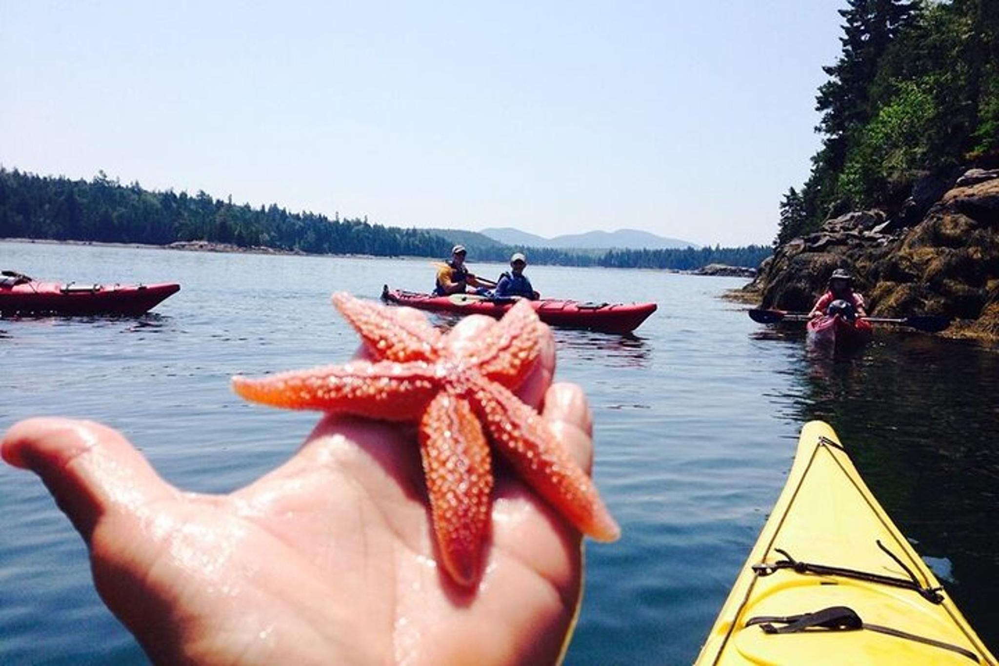 Southwest Harbor Kayak Tour