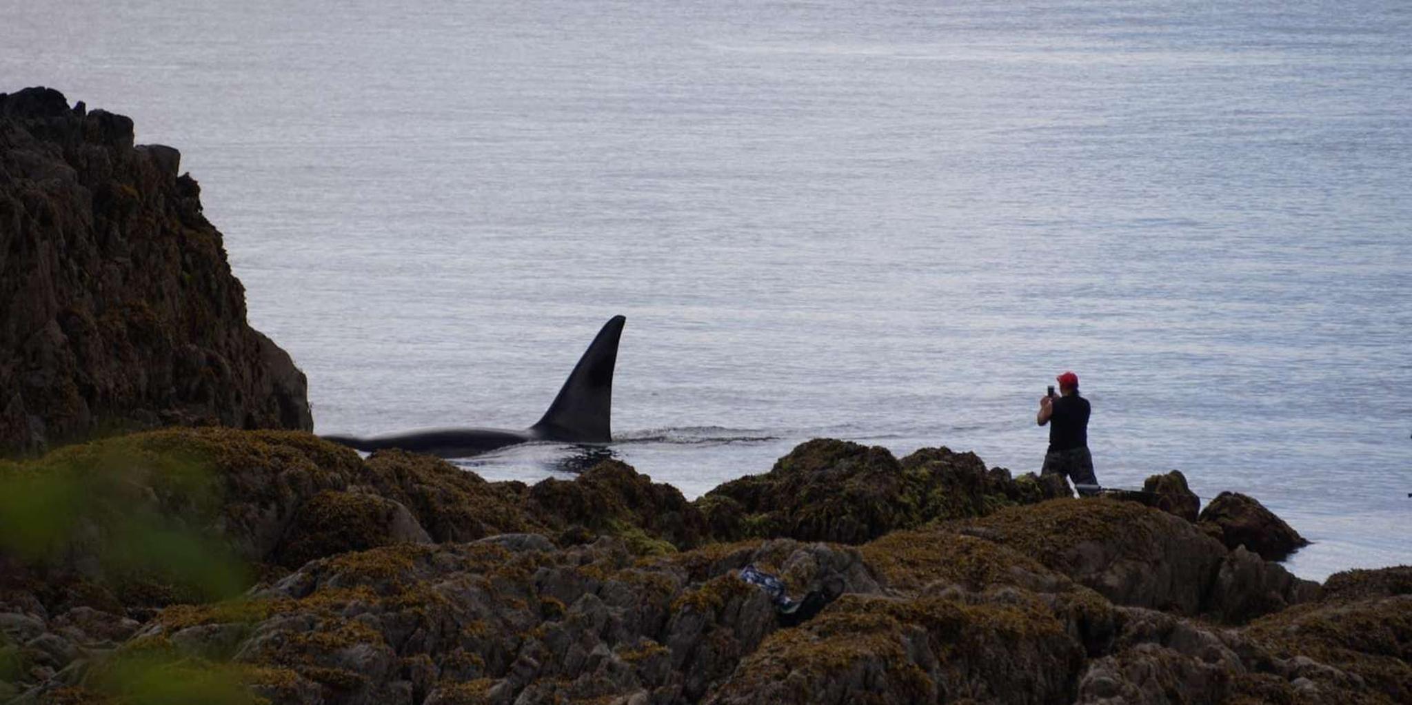 Ketchikan Private Customizable Tour in SUV 3 hr - Image 3