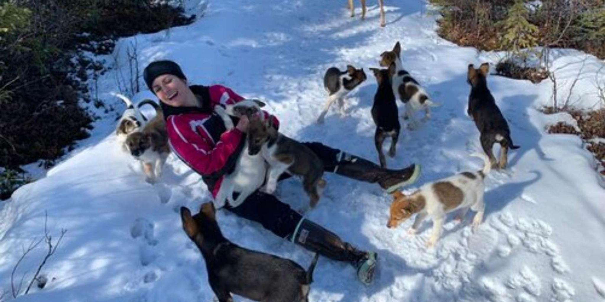 Willow Dog Sledding Adventure - Image 6