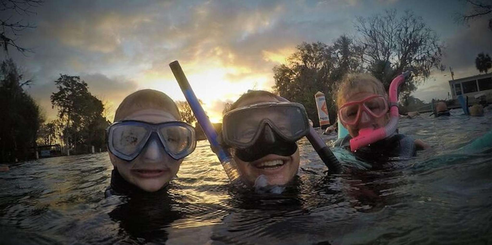 Crystal River Manatee Swim Tour - Image 4