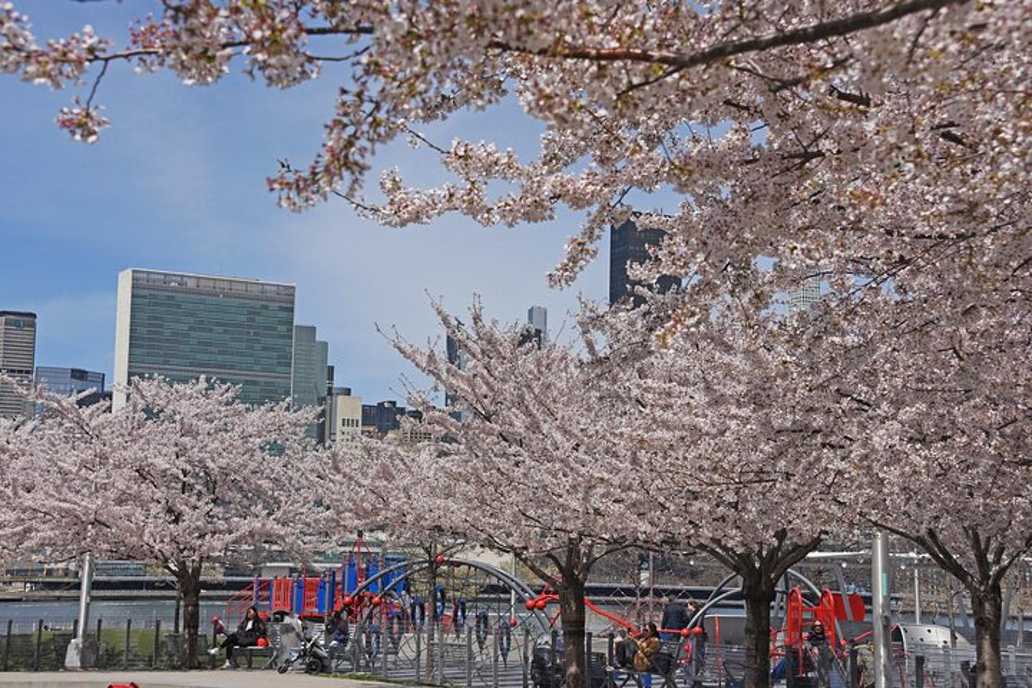 New York City Roosevelt Island Tour - Image 4