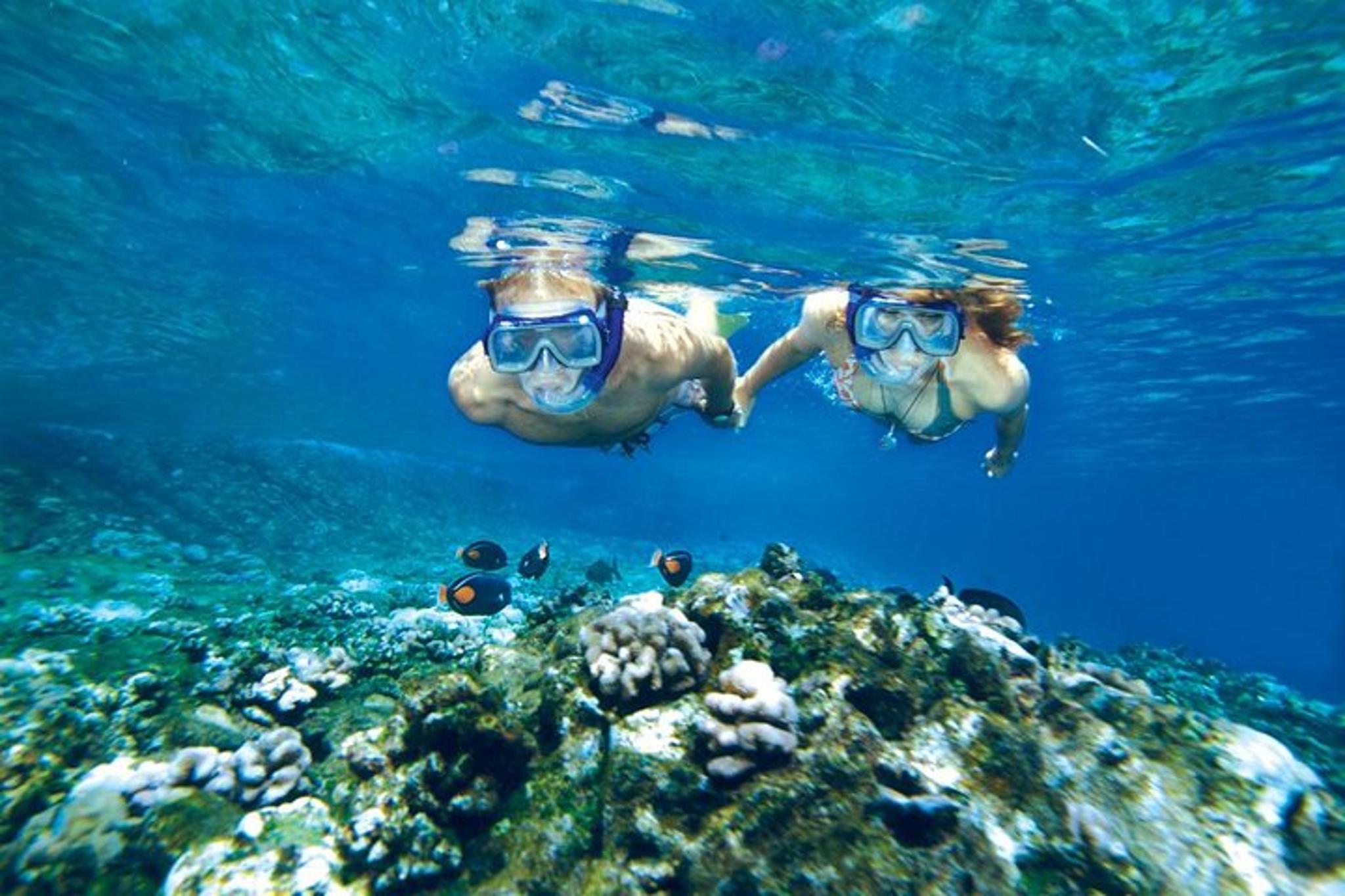 Ma'alaea Harbor Snorkeling Trip to Molokini and Turtle Arches