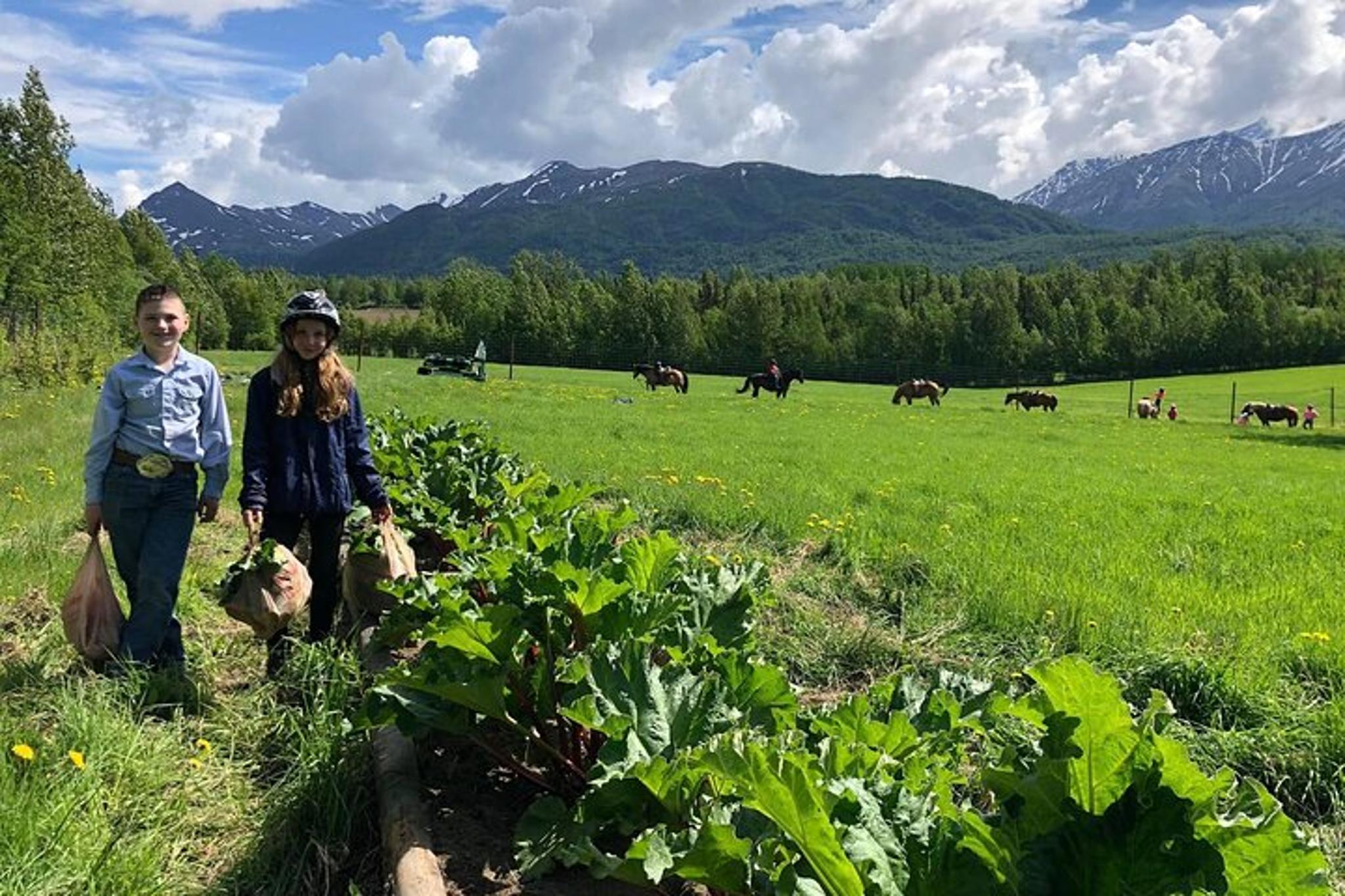 Anchorage Trail Ride and Homestead Tour - Image 2