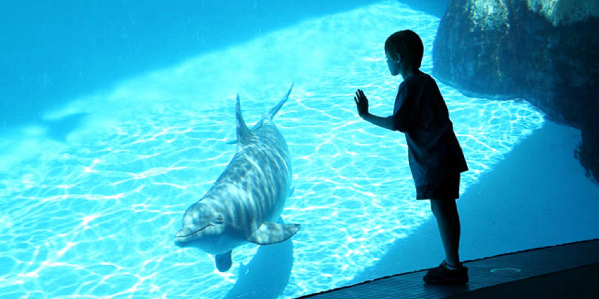 San Diego SeaWorld Park Admission - Image 5