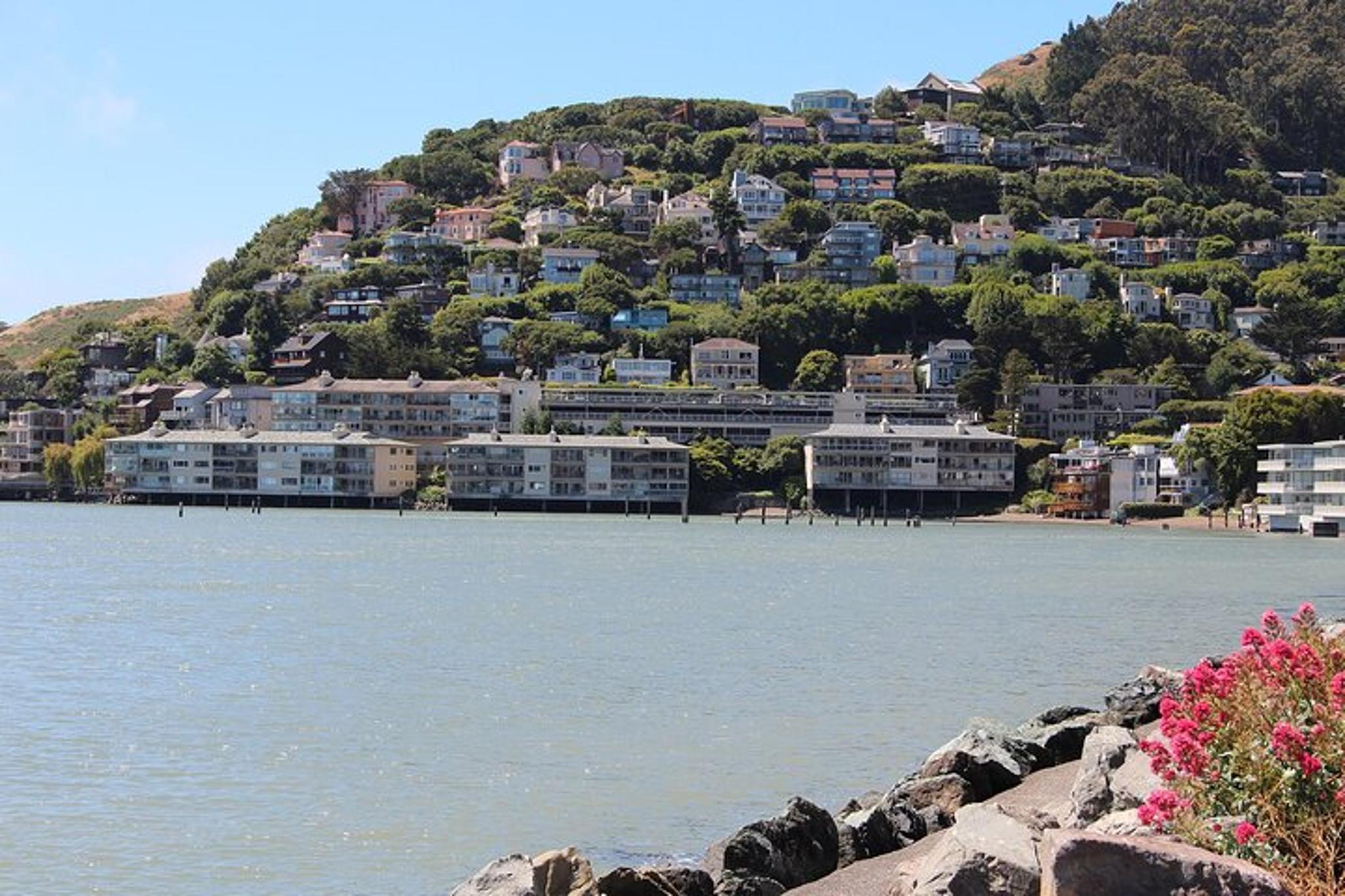 San Francisco Muir Woods and Sausalito Tour 4 hr - Image 5