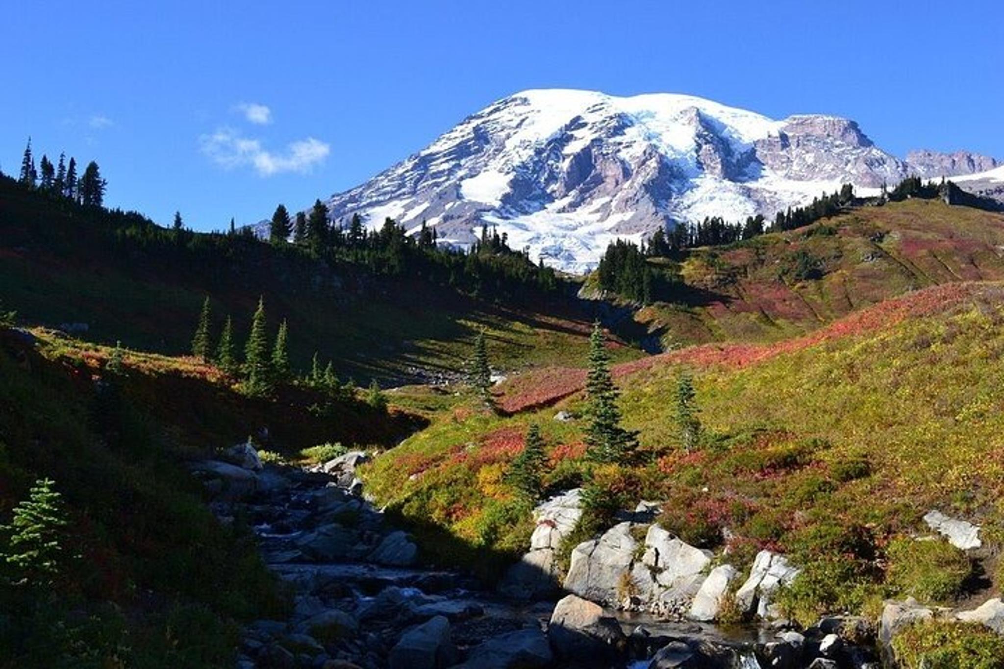 Seattle Mt Rainier Small Group Tour 2 Days - Image 3