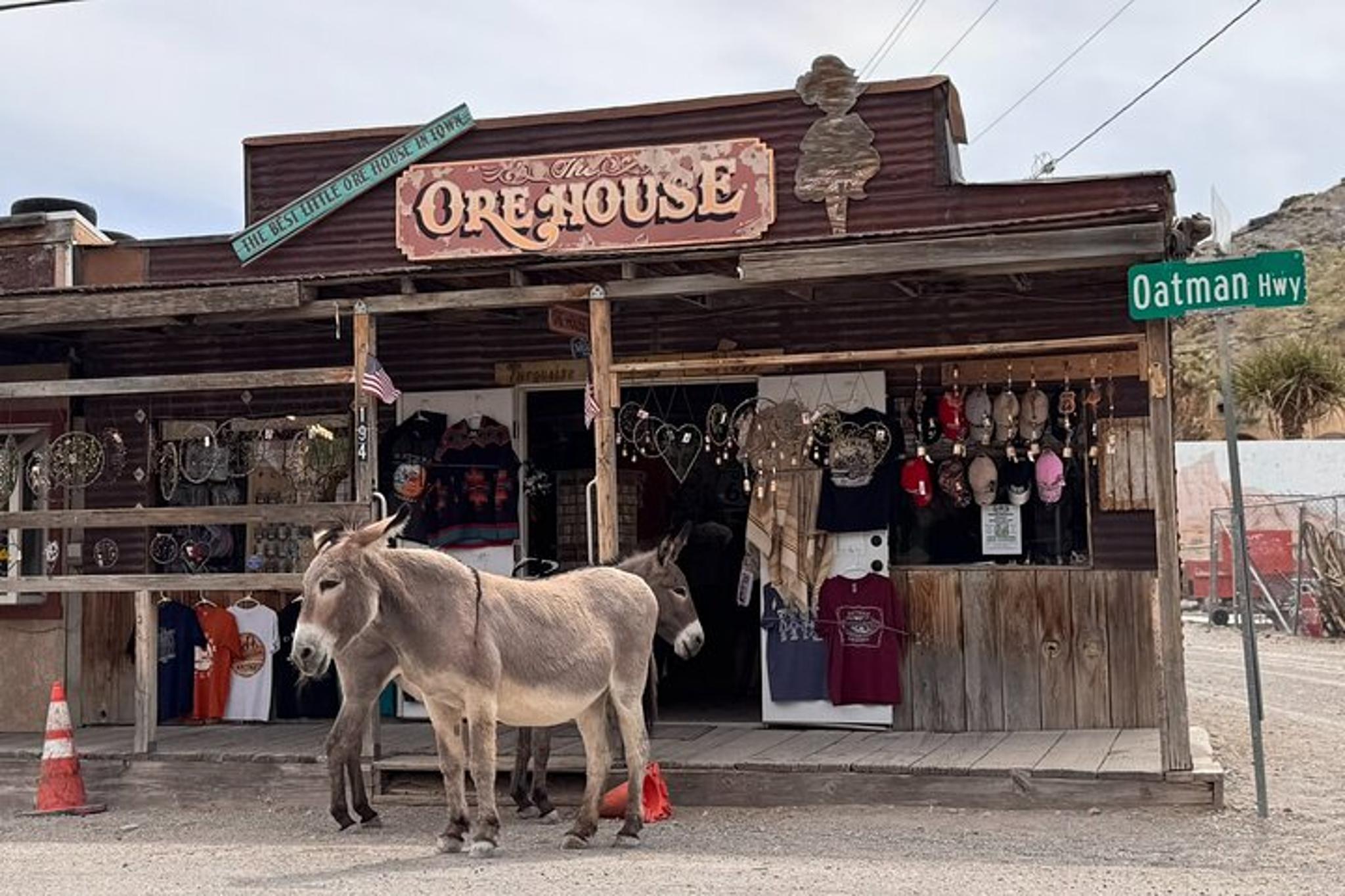 Las Vegas Route 66 and Ghost Town Tour - Image 4