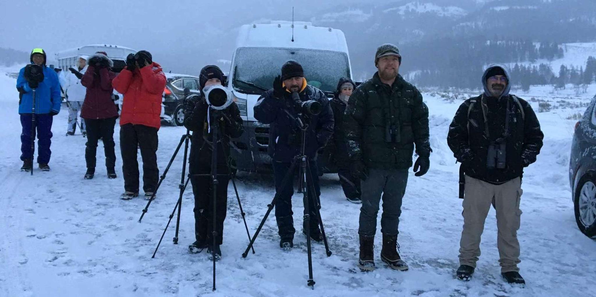 Bozeman Yellowstone Wolves and Winter Adventure 4 Days - Image 6