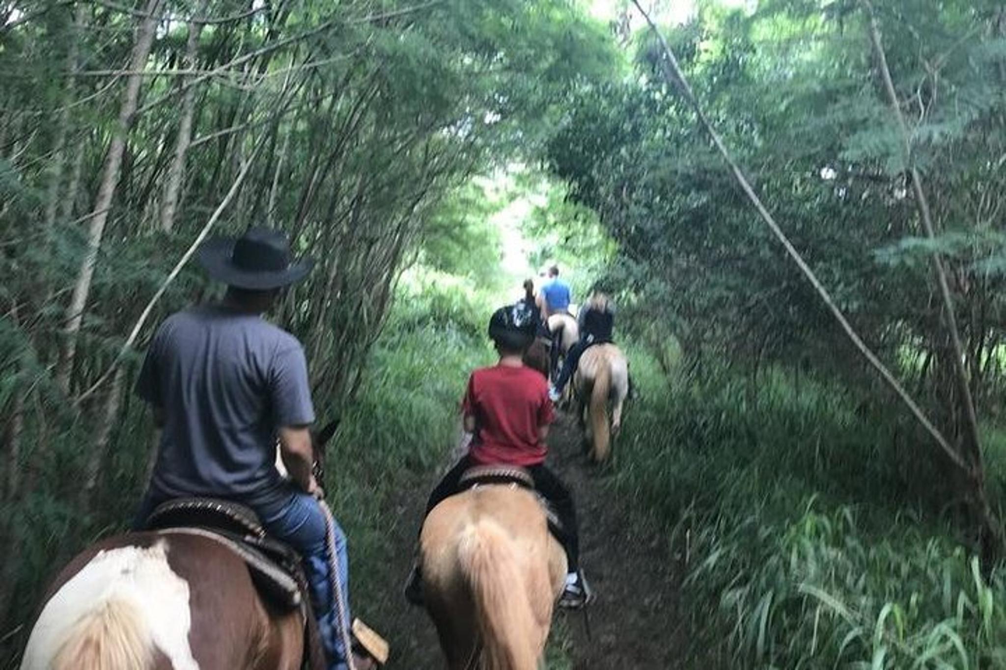 Maui Horseback Waterfall and Ocean Tour - Image 5