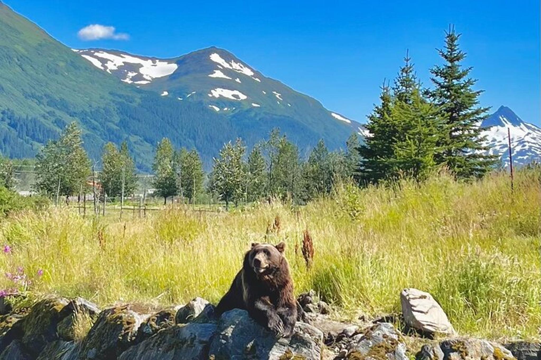Anchorage Wildlife Tour at Alaska Conservation Center