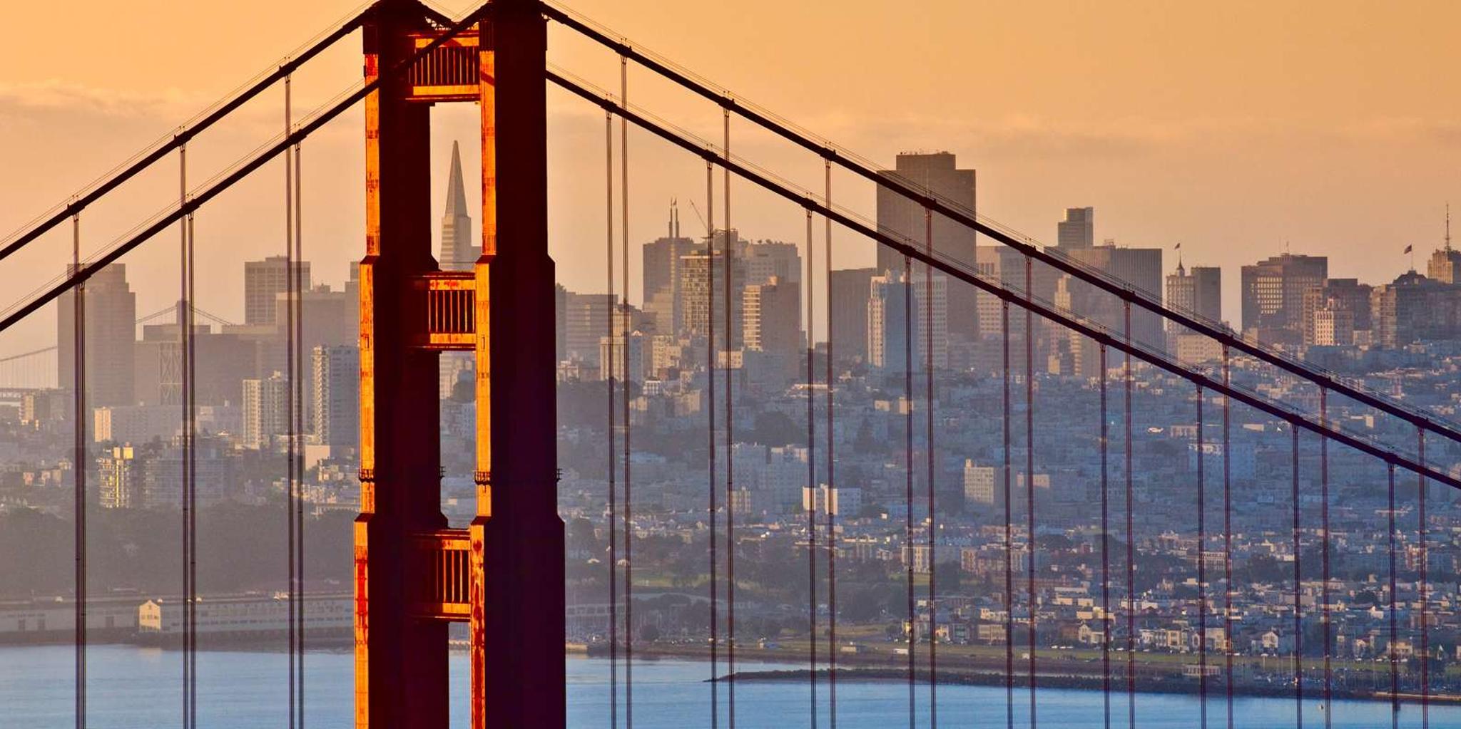 San Francisco City Tour with Bay Cruise - Image 5