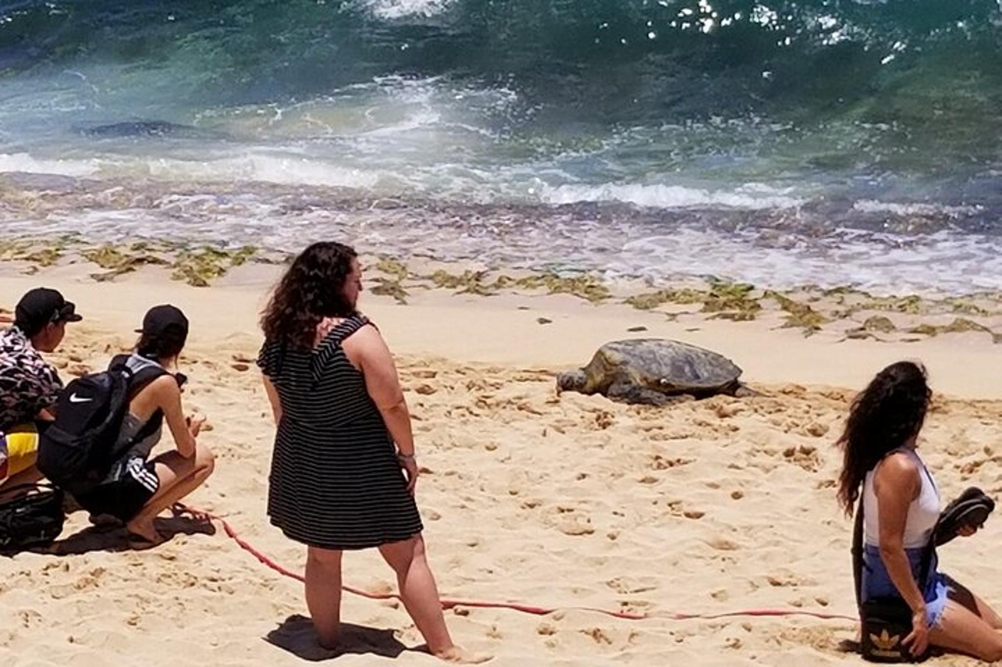 Honolulu Circle Island Tour with Pearl Harbor - Image 6