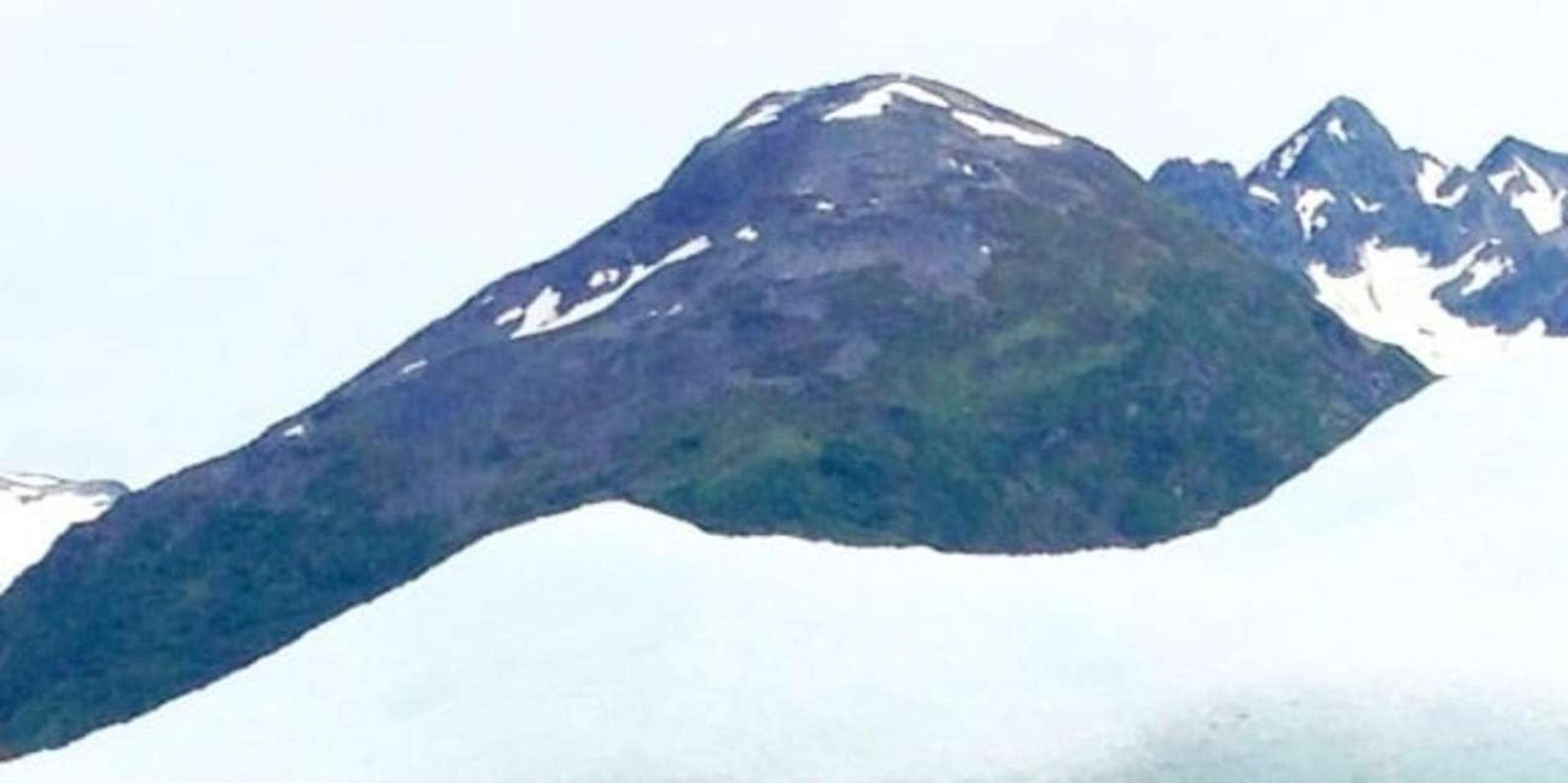 Girdwood Bears, Trains, and Icebergs Tour - Image 6