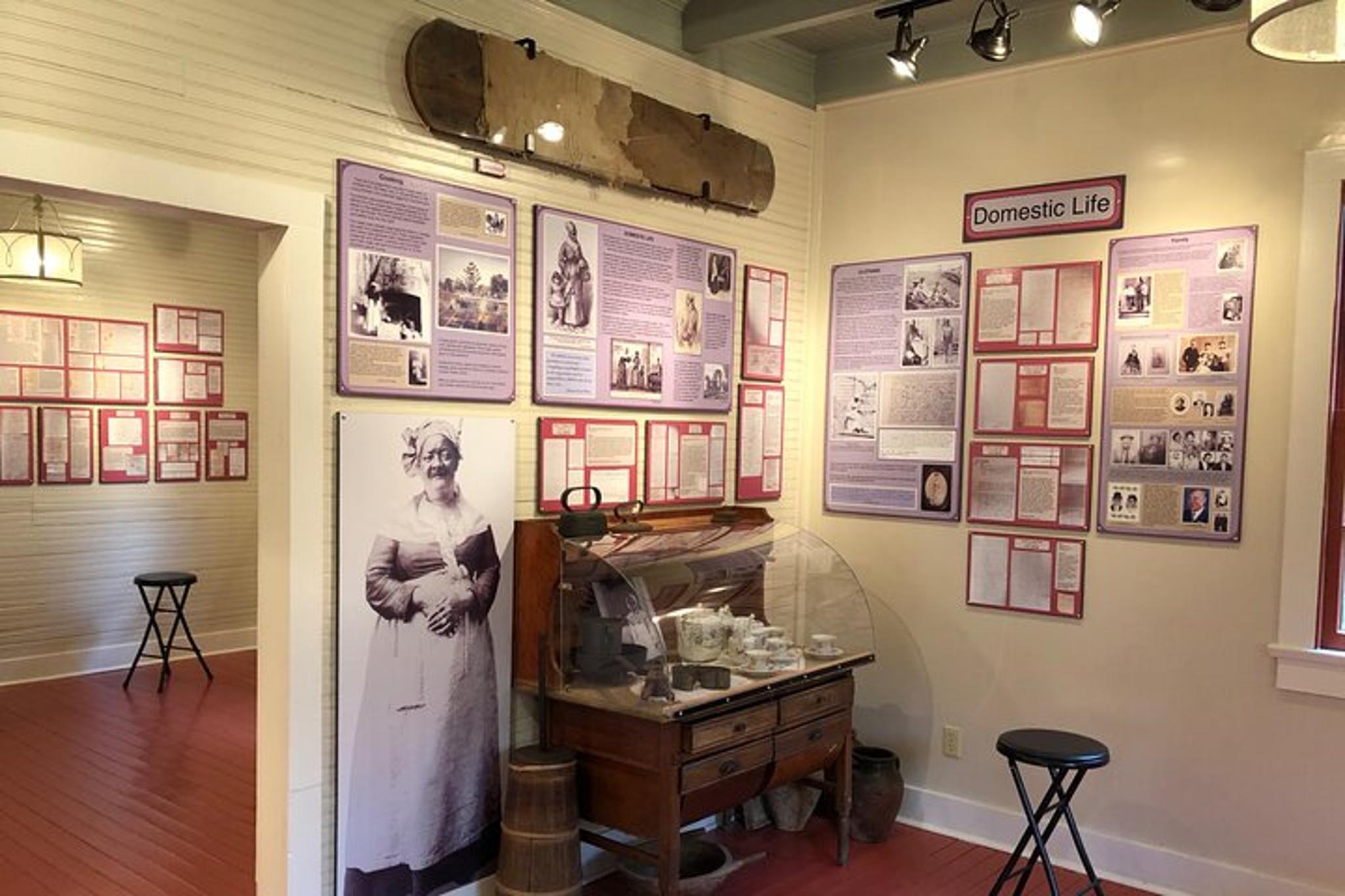 New Orleans Plantation and Airboat Tour - Image 5