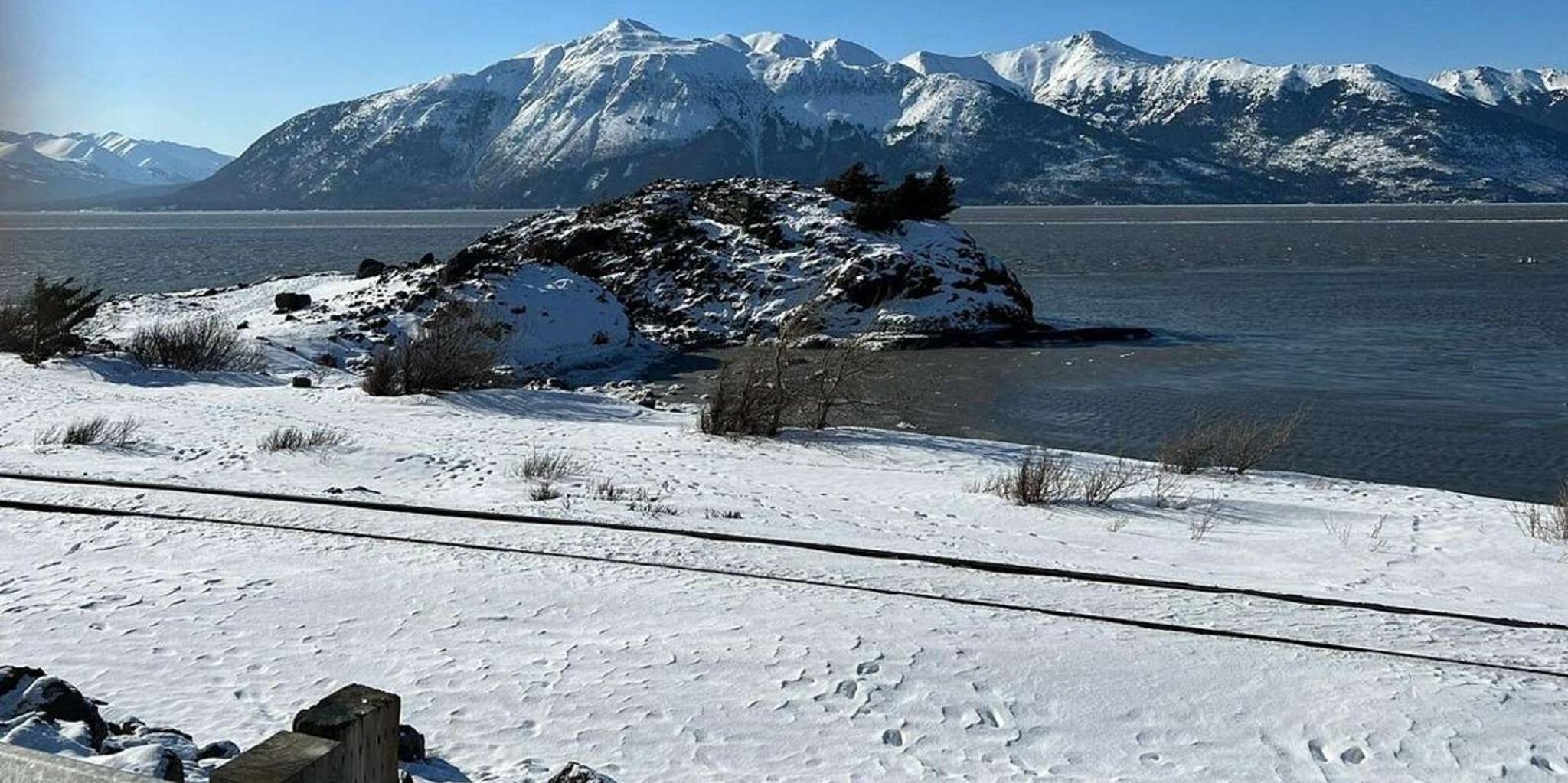 Anchorage Alaska Wildlife and Turnagain Arm Tour