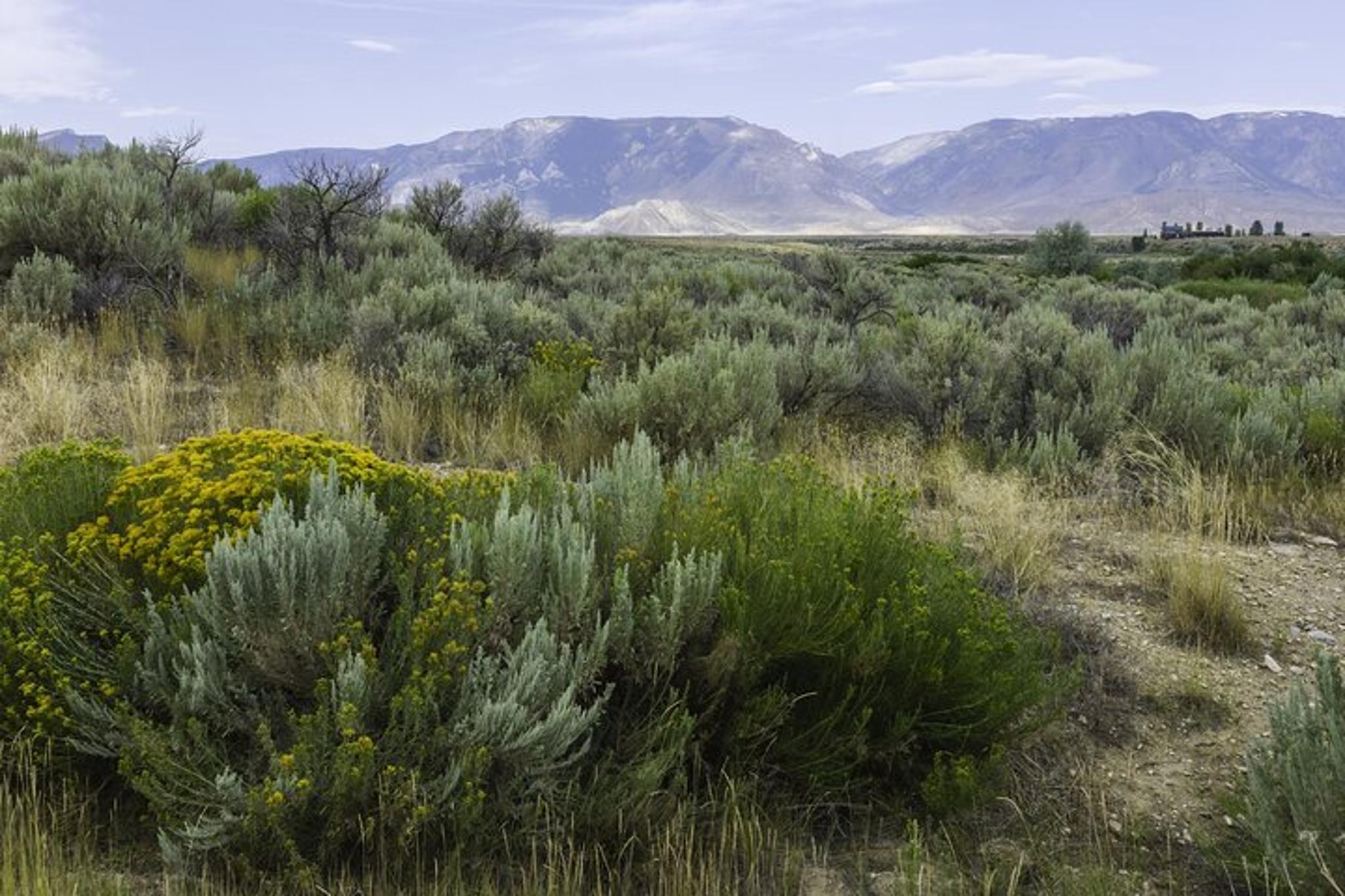 Bozeman Self-Guided Driving Audio Tour - Image 6