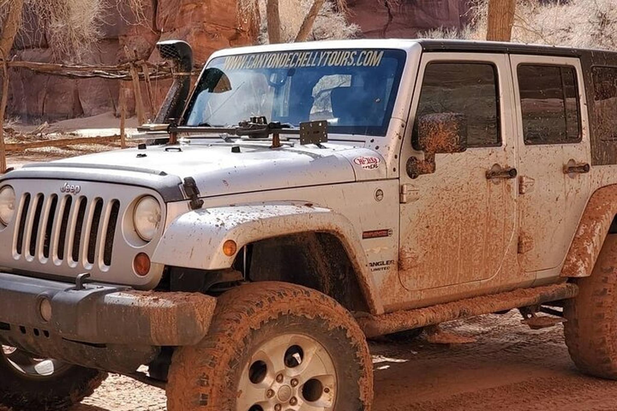 Canyon de Chelly Private Canyon Tour 3 hr - Image 2