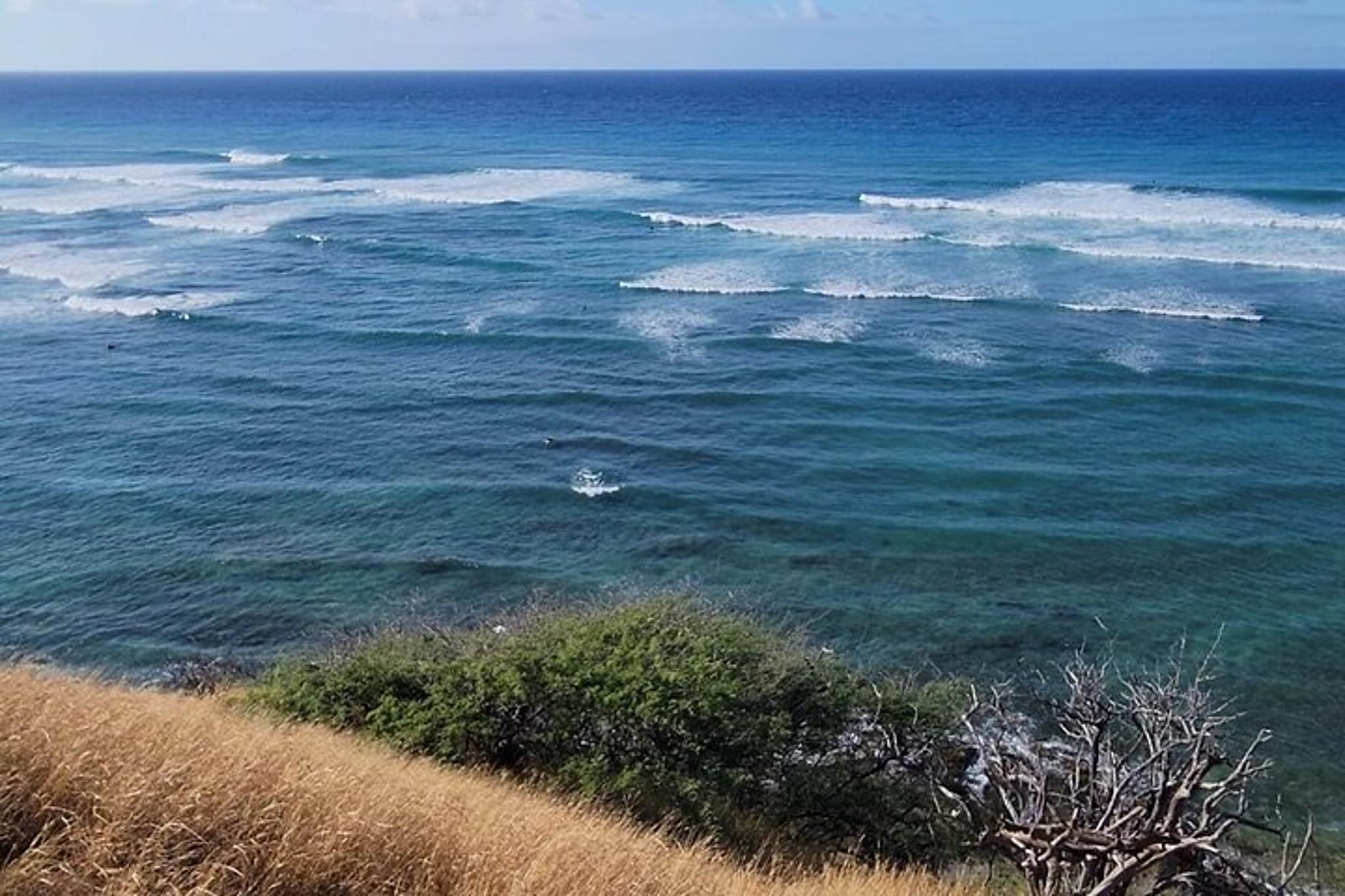 Oahu Snorkeling Tour with Turtles - Image 6
