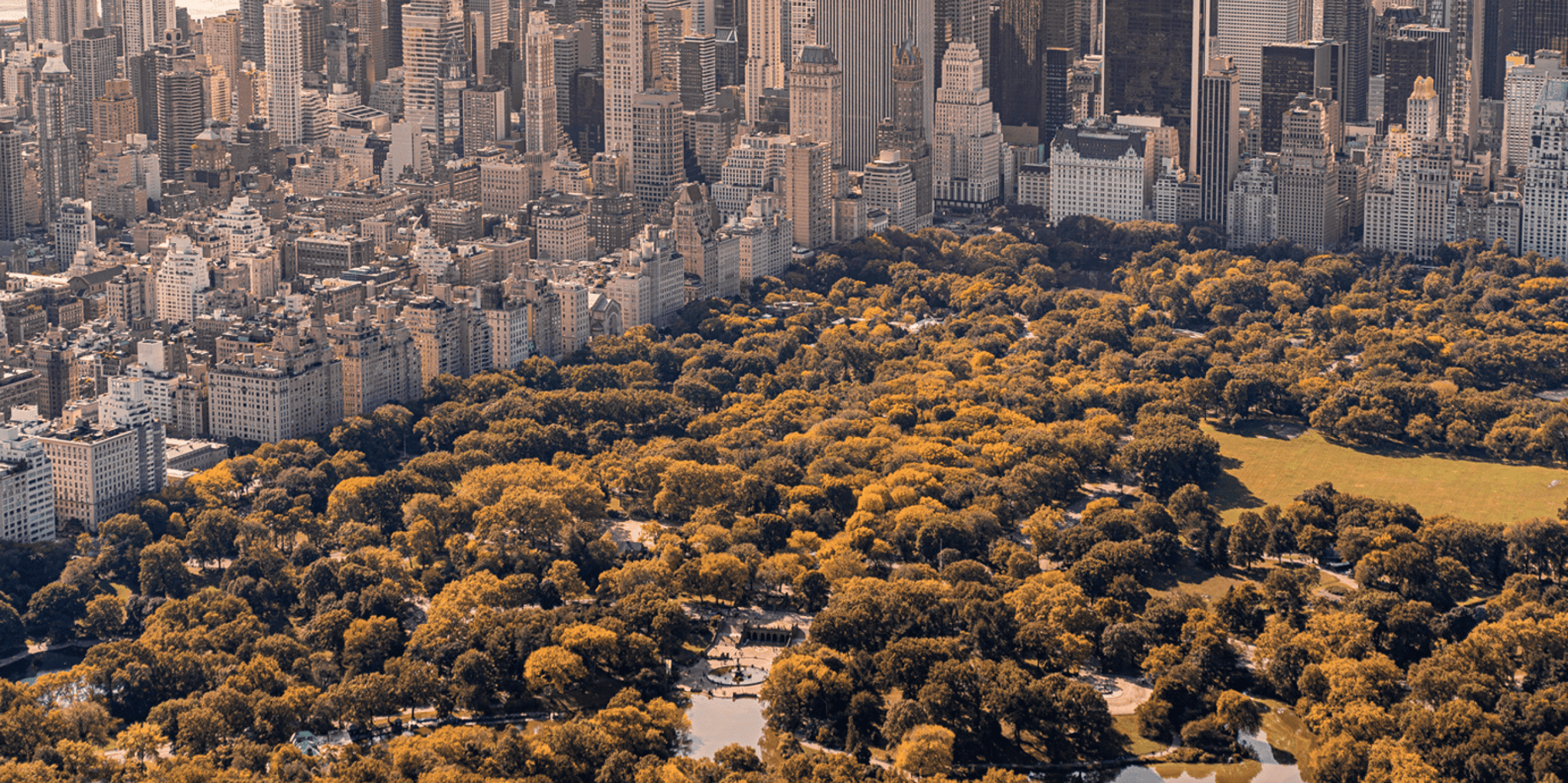 New York City Helicopter Tour - Image 5