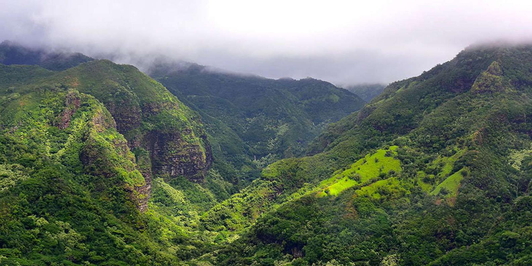 Kauai Highlights and Movie Sites Tour - Image 4