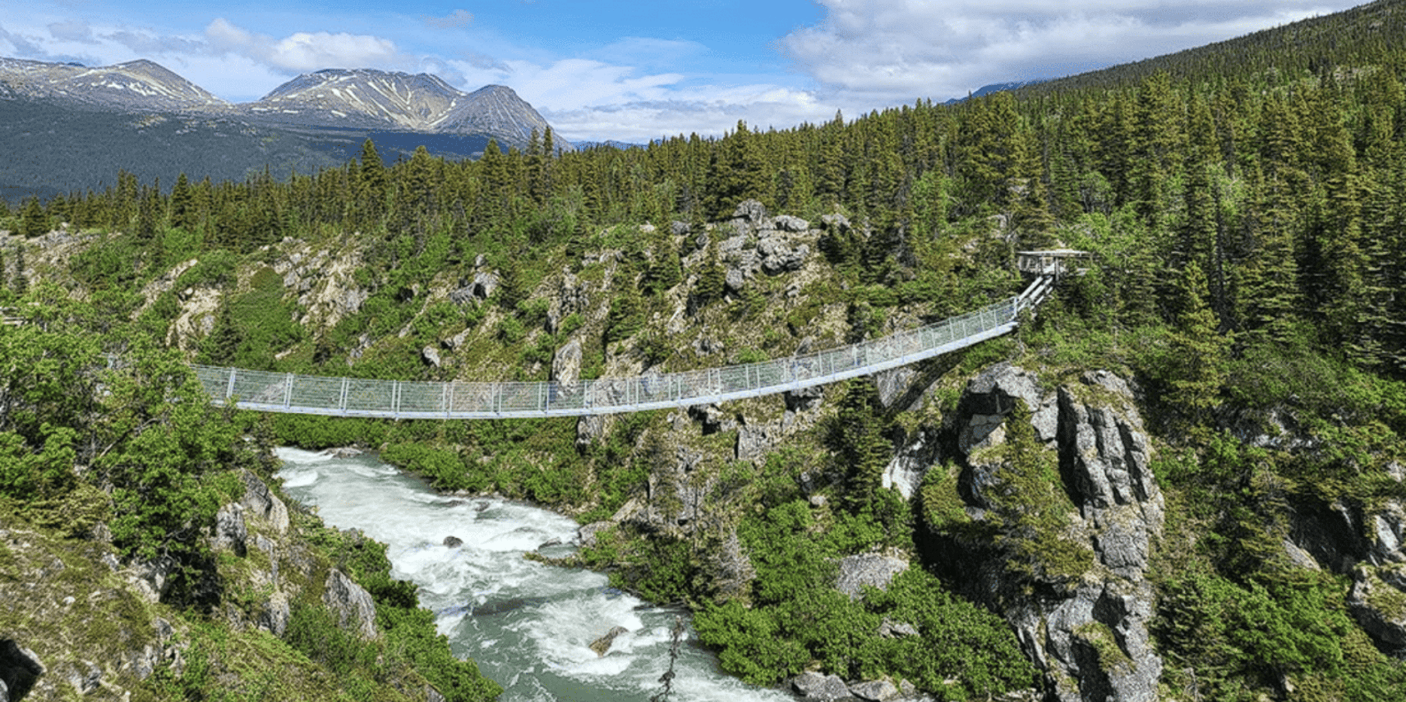Skagway Klondike Highway and Yukon Bus Tour - Image 6