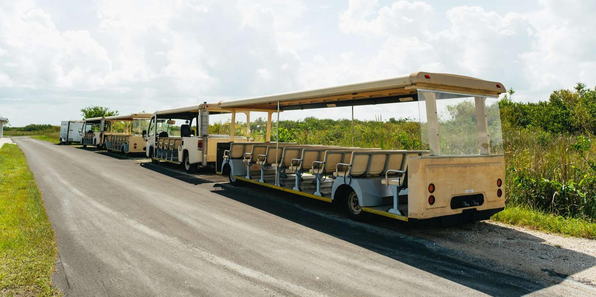 Miami Everglades Airboat Ride and Nature Walk - Image 5