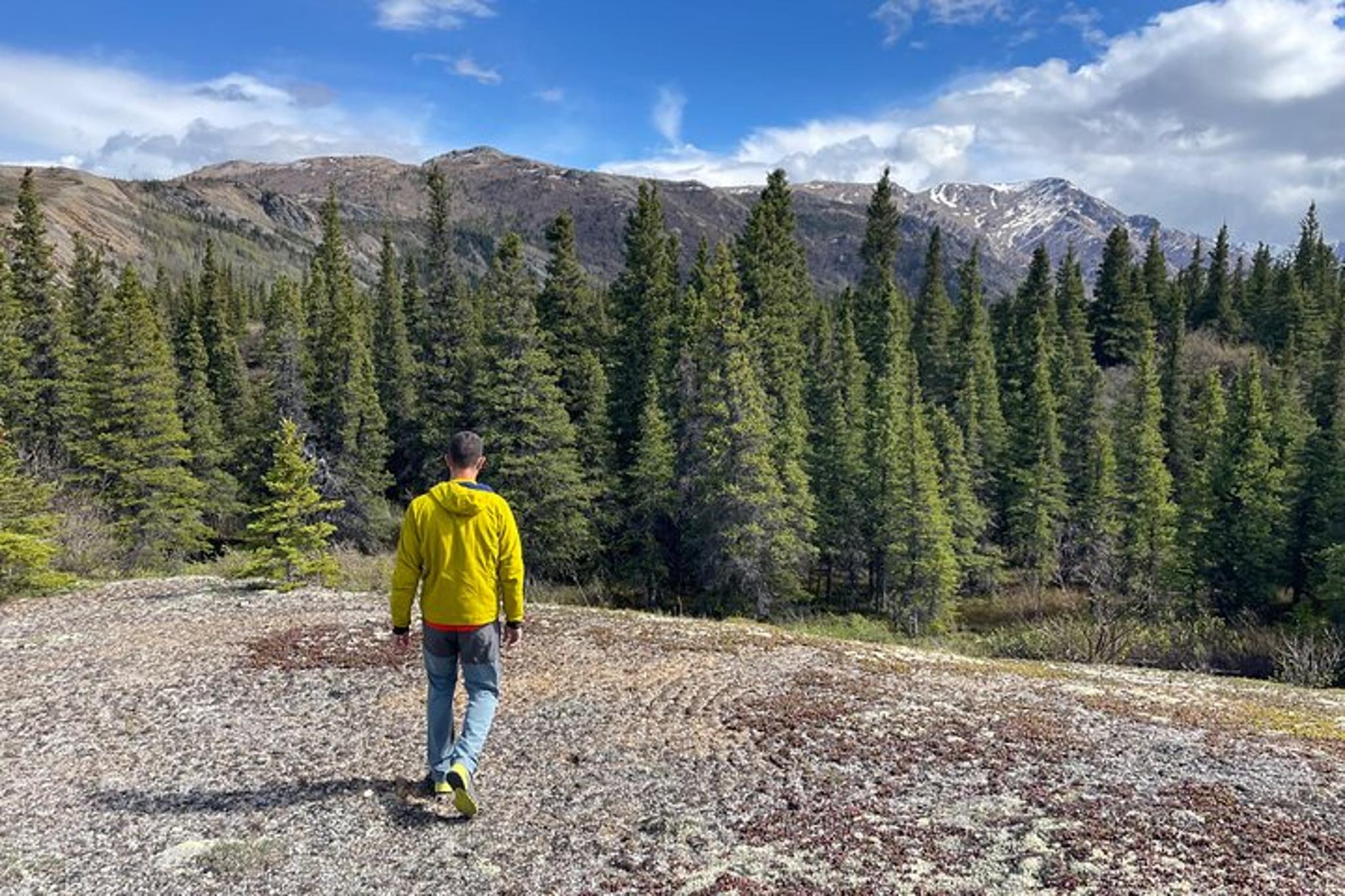 Denali Off-Trail Hiking Adventure - Image 4
