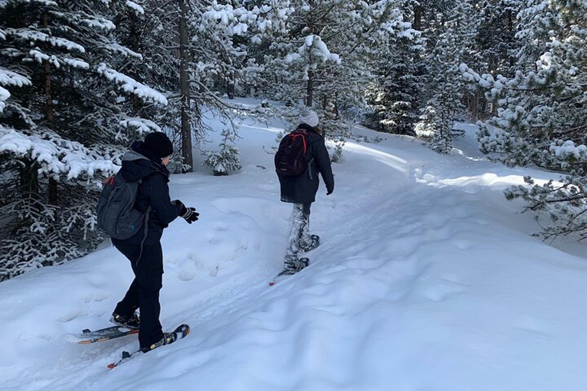 Denver Snowshoeing Adventure in the Rocky Mountains