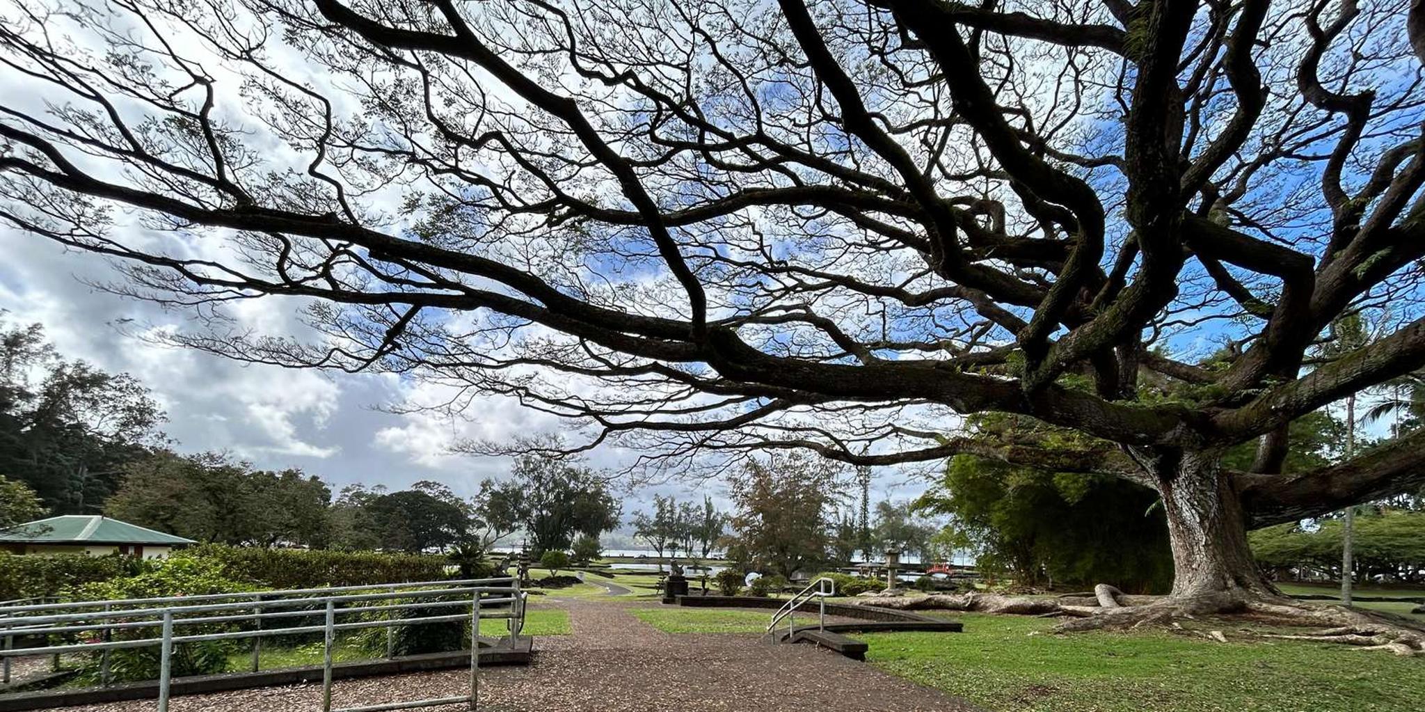Hilo Volcanoes National Park Tour - Image 3