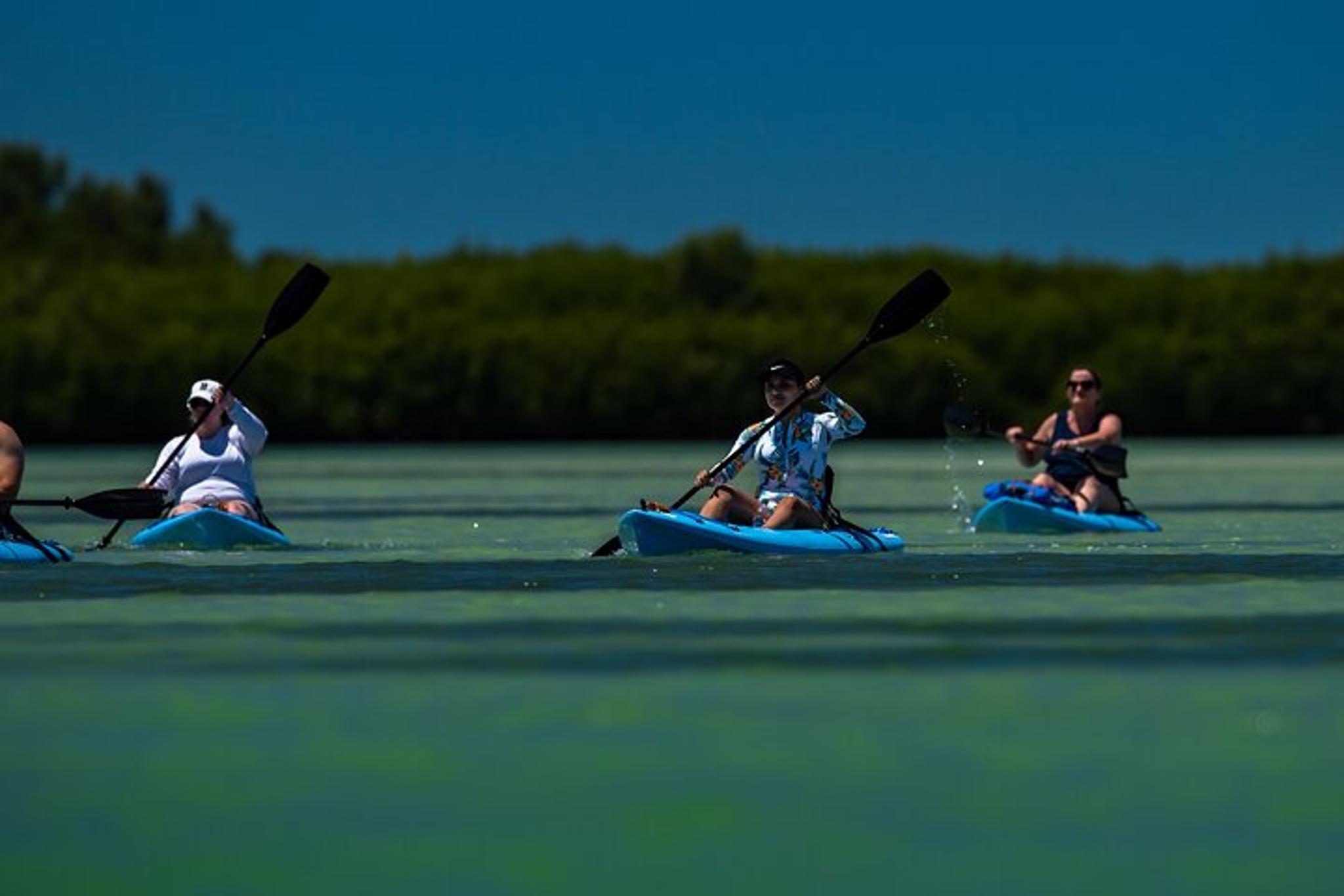 Tierra Verde Kayak Tour in Mangrove Preserve - Image 5