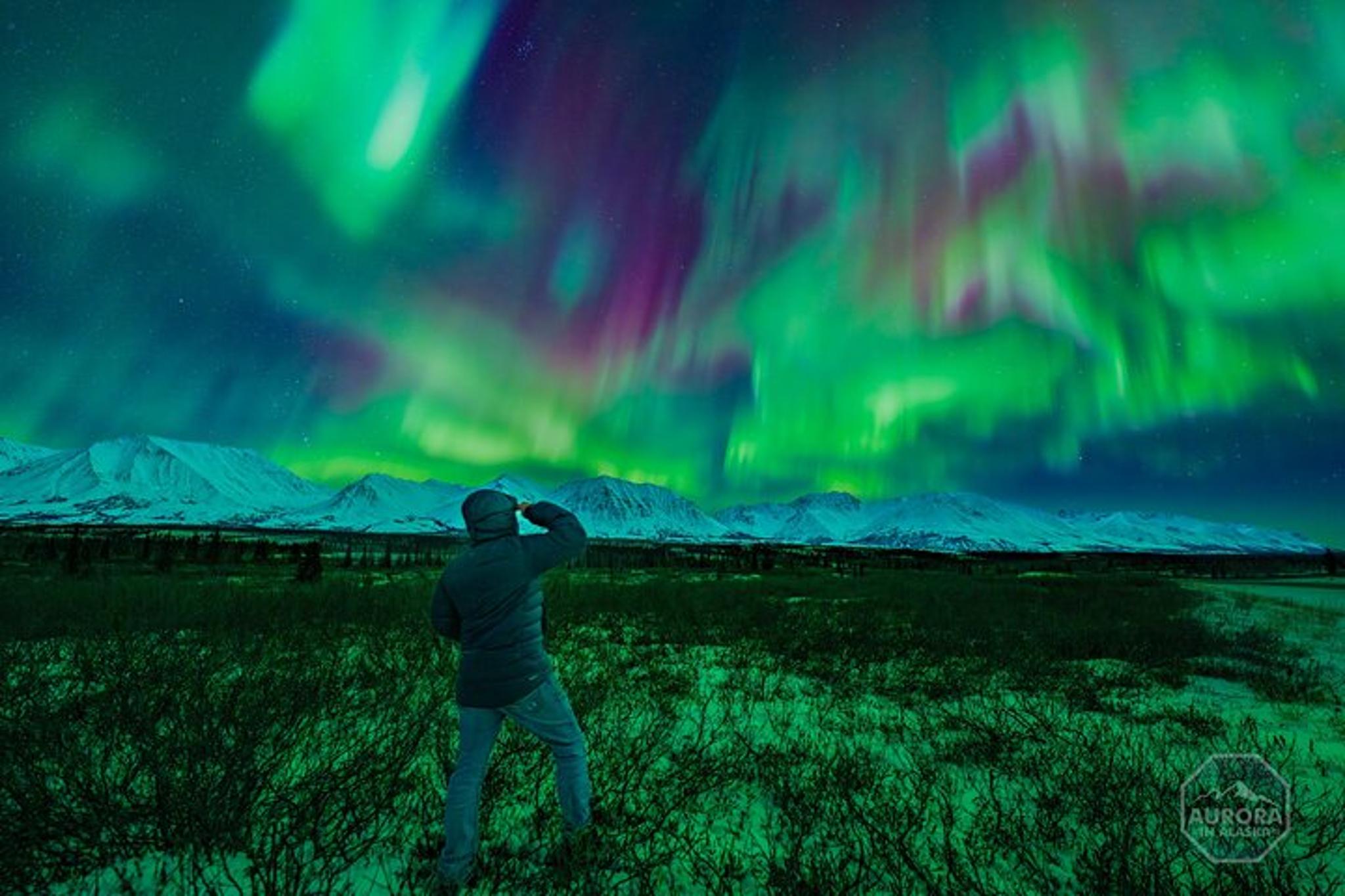 Fairbanks Northern Lights Experience - Image 3