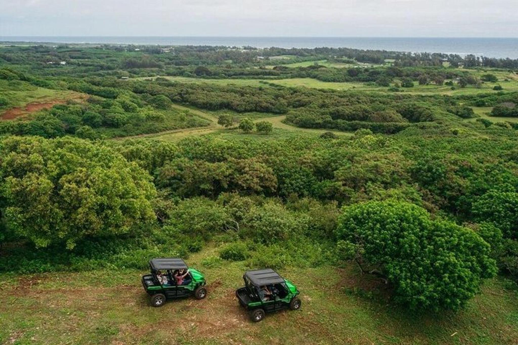 Oahu Off-Road Sunset Dinner Tour - Image 4