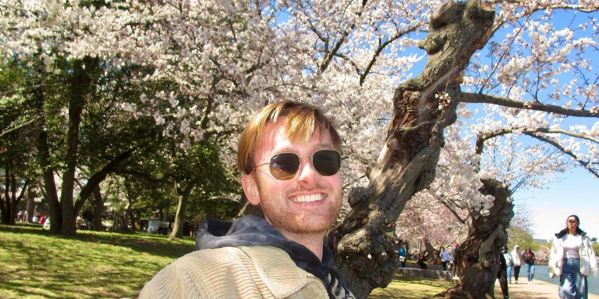 Washington, DC Cherry Blossom Walking Tour - Image 4