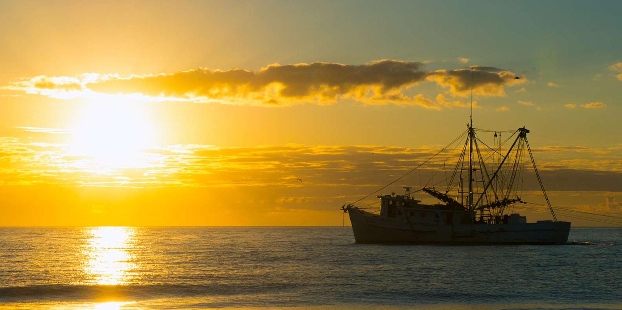 Hilton Head Pontoon Boat and Sunset Cruise - Image 3