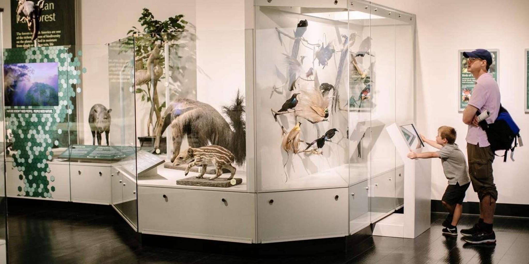 Buffalo Museum of Science Admission Ticket - Image 2