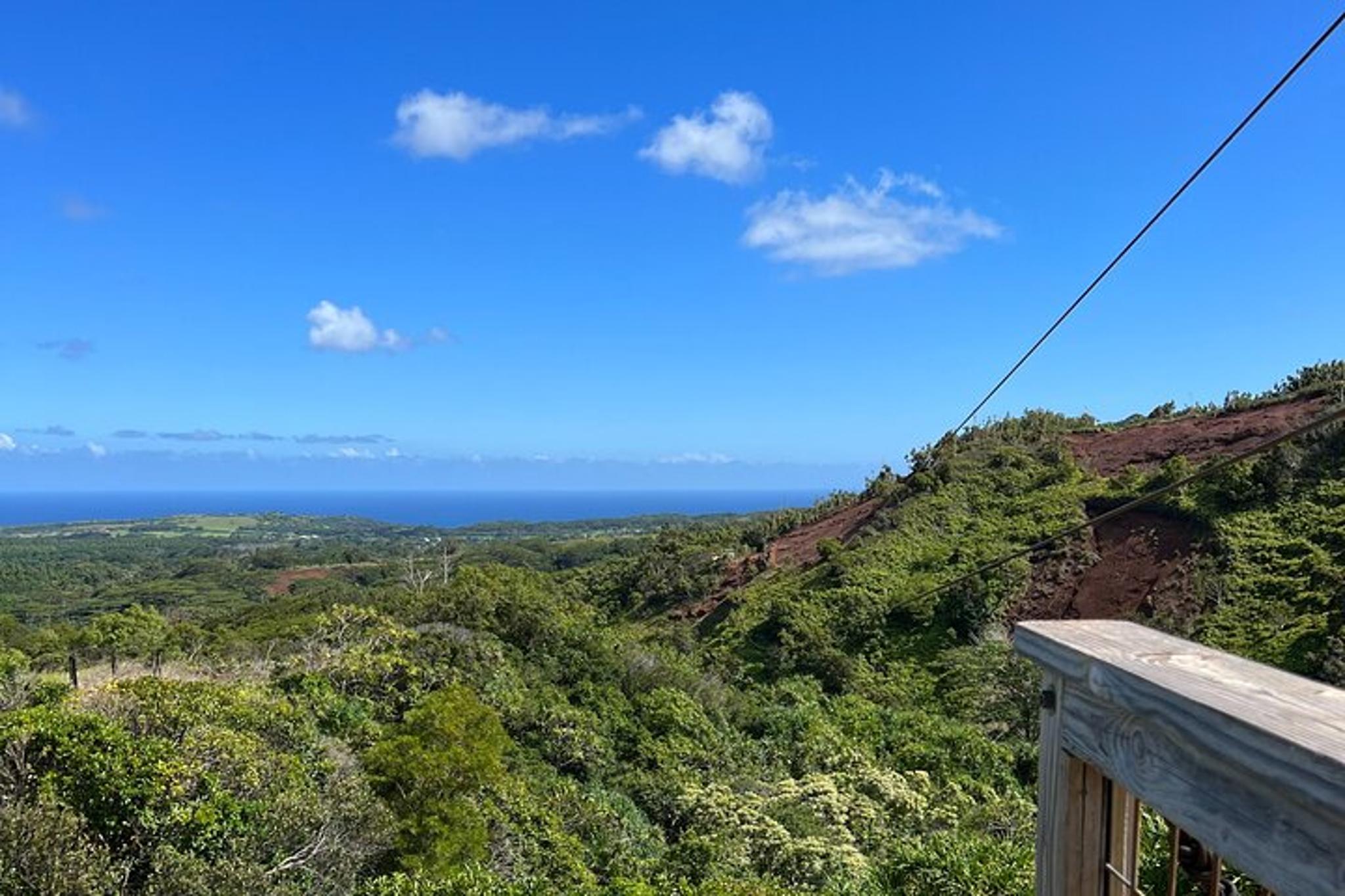 Kauai Zipline Tour 2 hr - Image 6